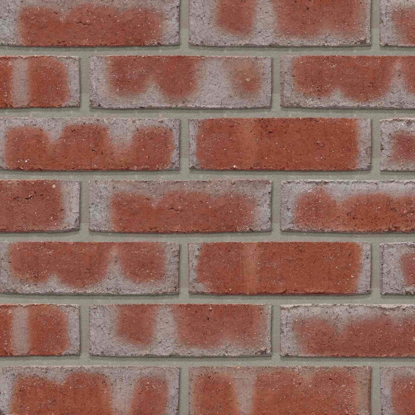 Productshot van de Lagune Liva WS BNF brick