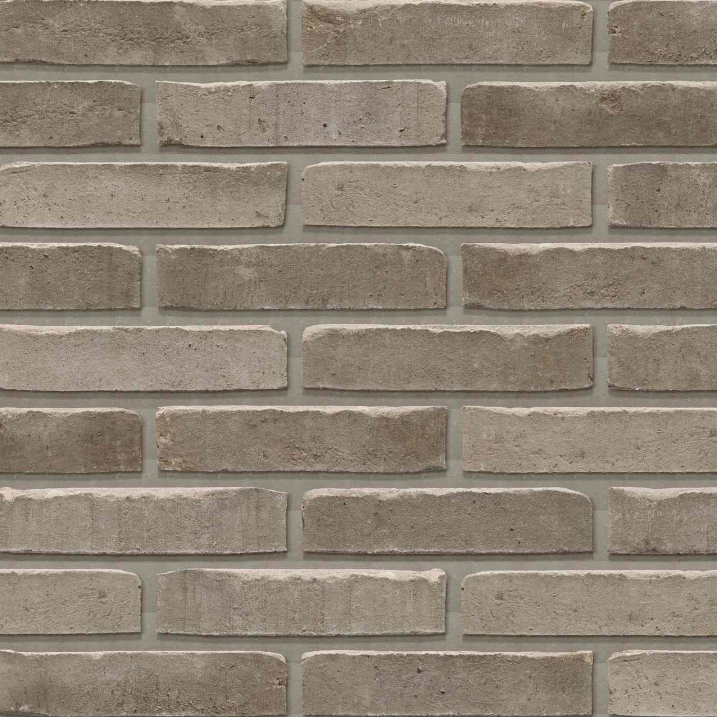 Productshot van de Fogna Fjord WS WF215 EB65 brick
