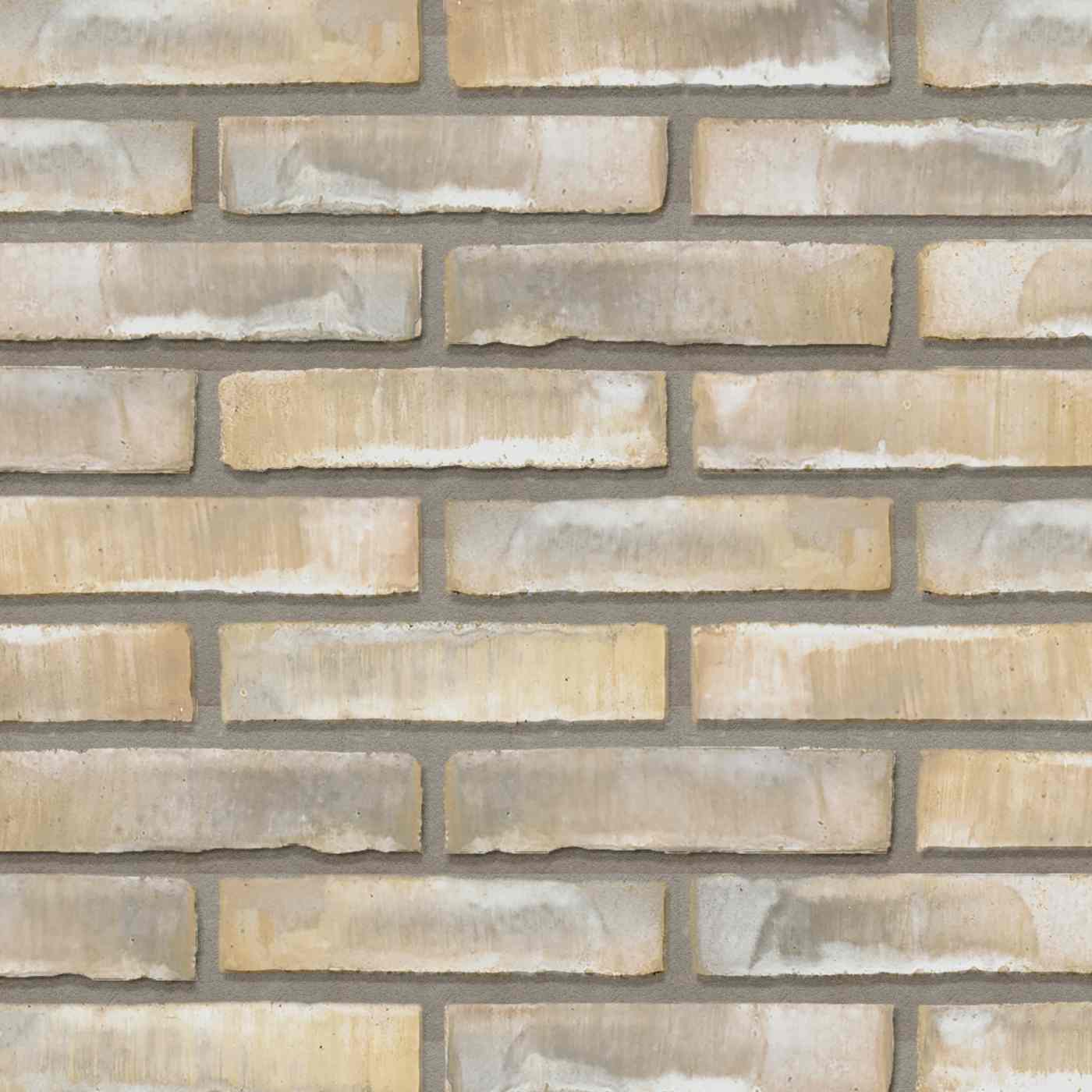 Productshot van de Dansk Cold Hawaii WS DNF LESS