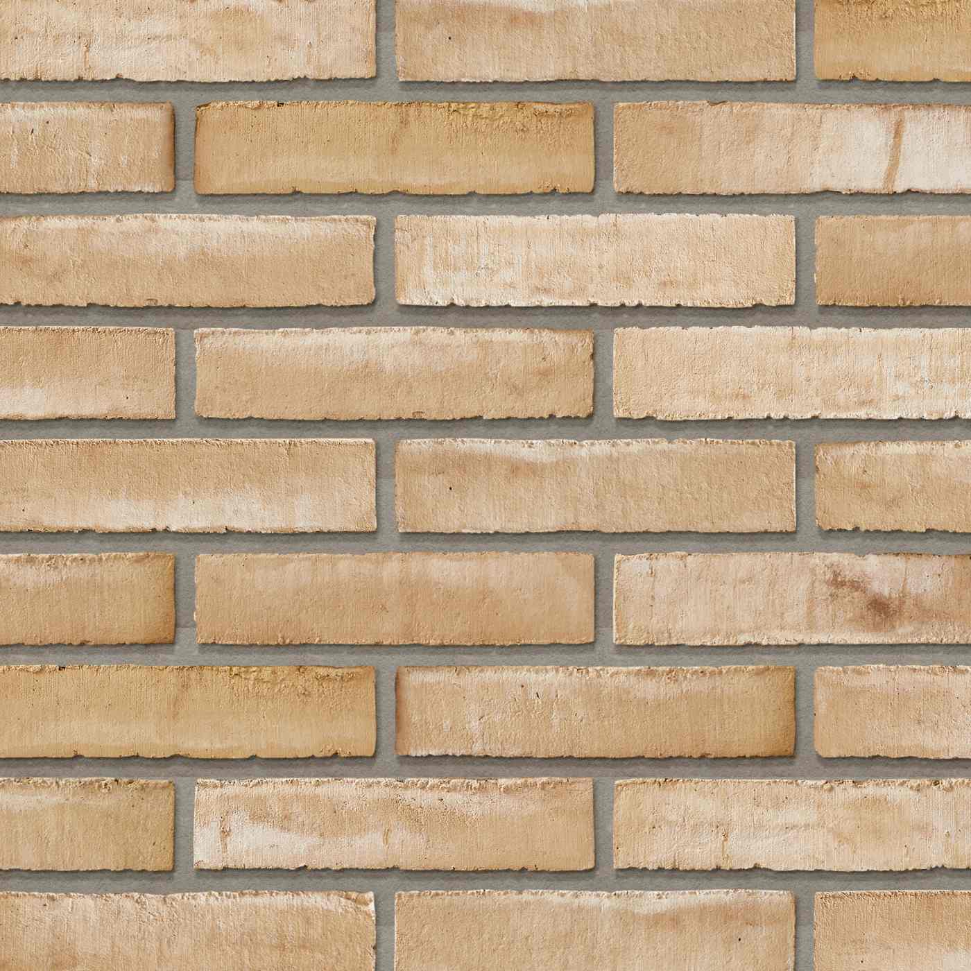 Productshot van de Dansk Light Coal WS DNF LESS