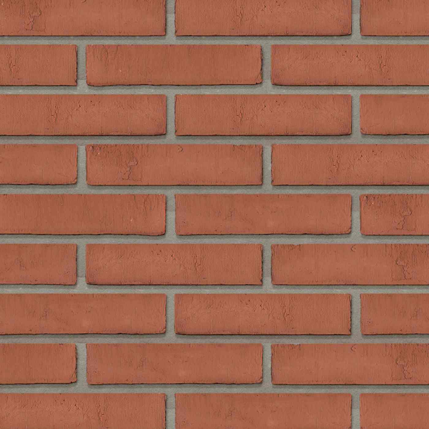 Productshot van de Dansk Thy Rod WS DNF