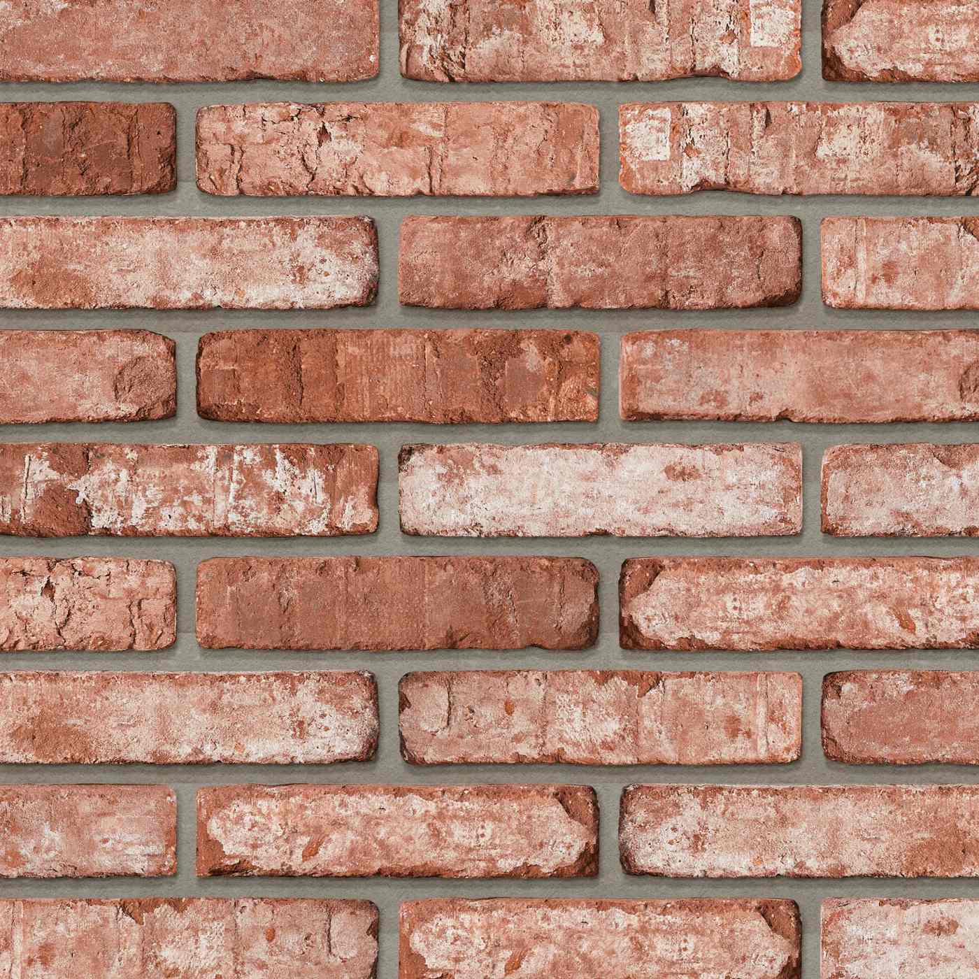 Productshot van de Dansk Rust WS DNF