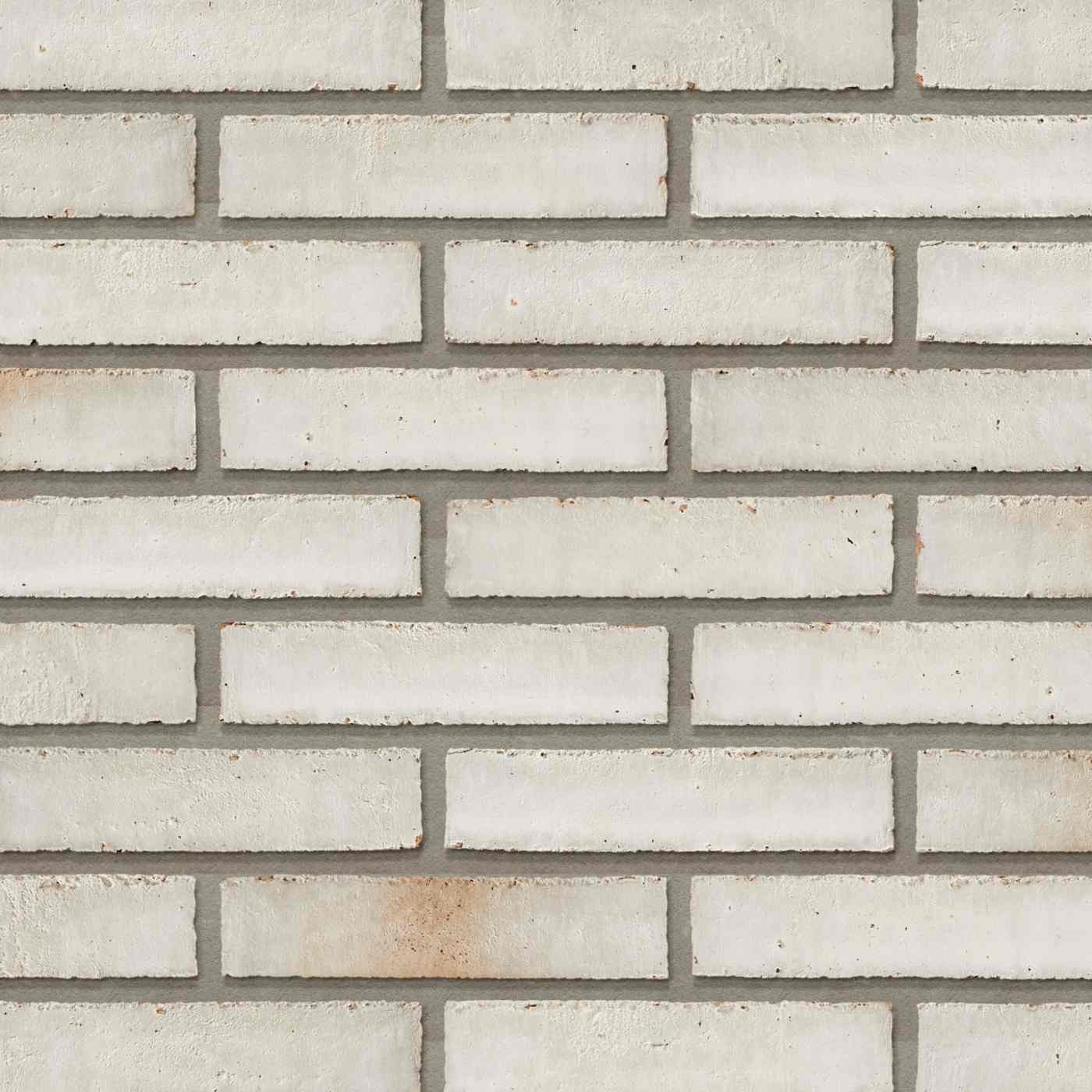 Productshot van de Dansk Laika WS DNF LESS