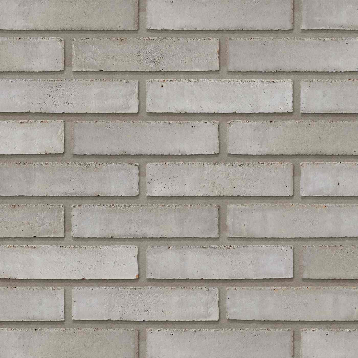 Productshot van de Dansk Taurus WS DNF LESS