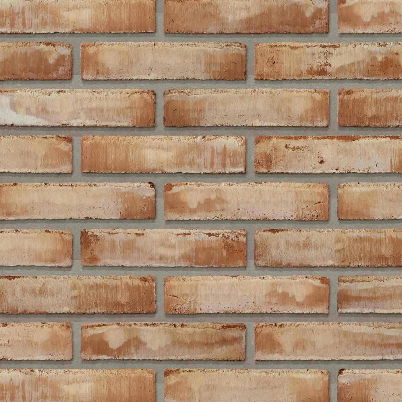 Productshot van de Dansk Terracotta WS DNF LESS