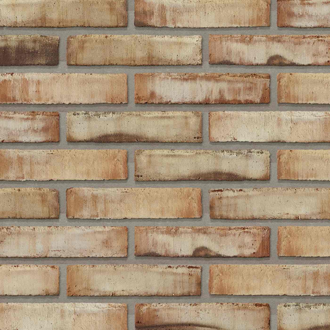 Productshot van de Dansk Terracotta Coal WS DNF LESS