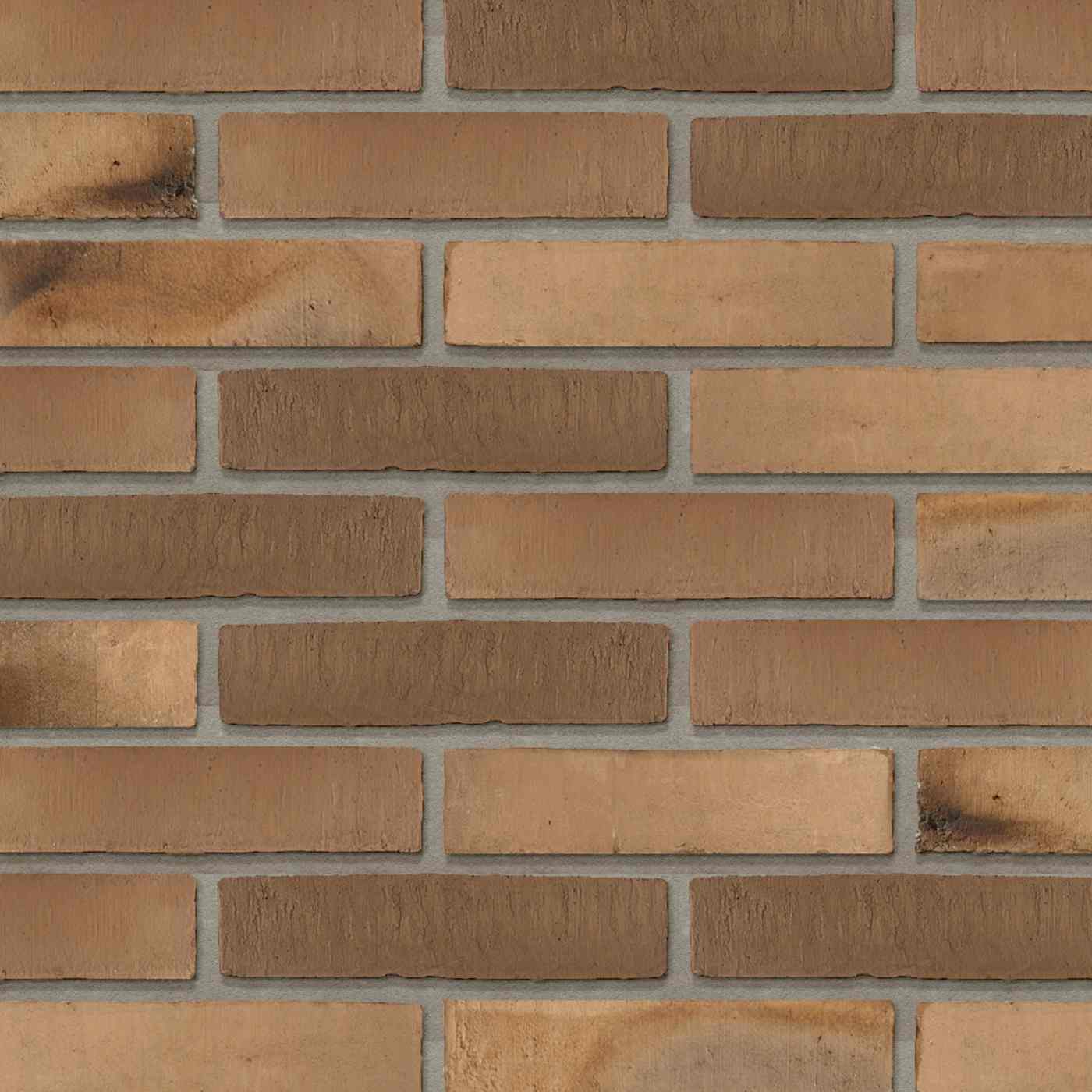 Productshot van de Dansk Bison Coal WF DNF