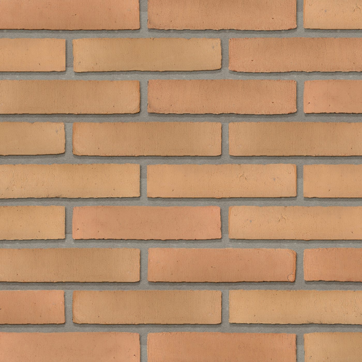 Productshot van de Dansk Savanne WS DNF
