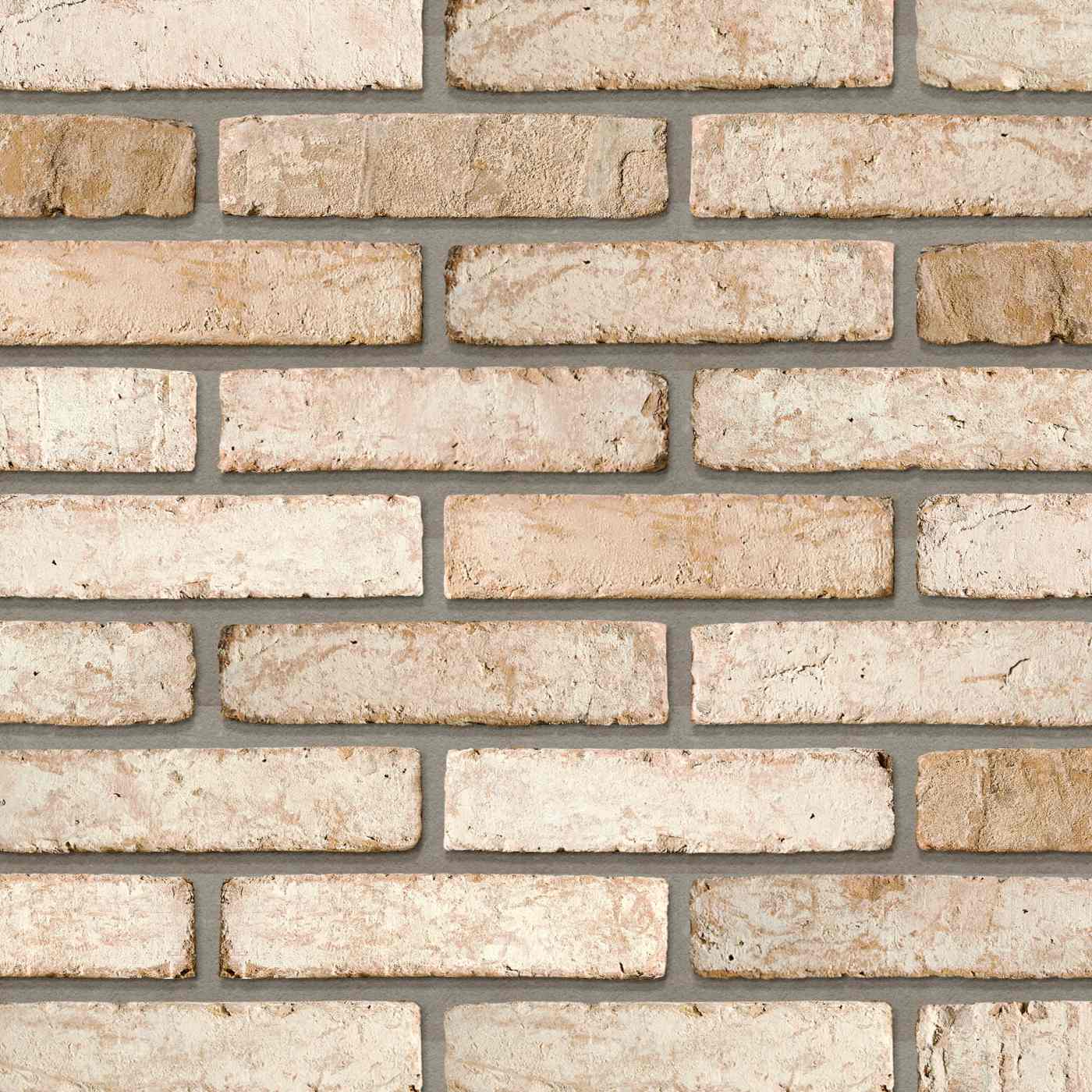 Productshot van de Dansk Aks WS DNF