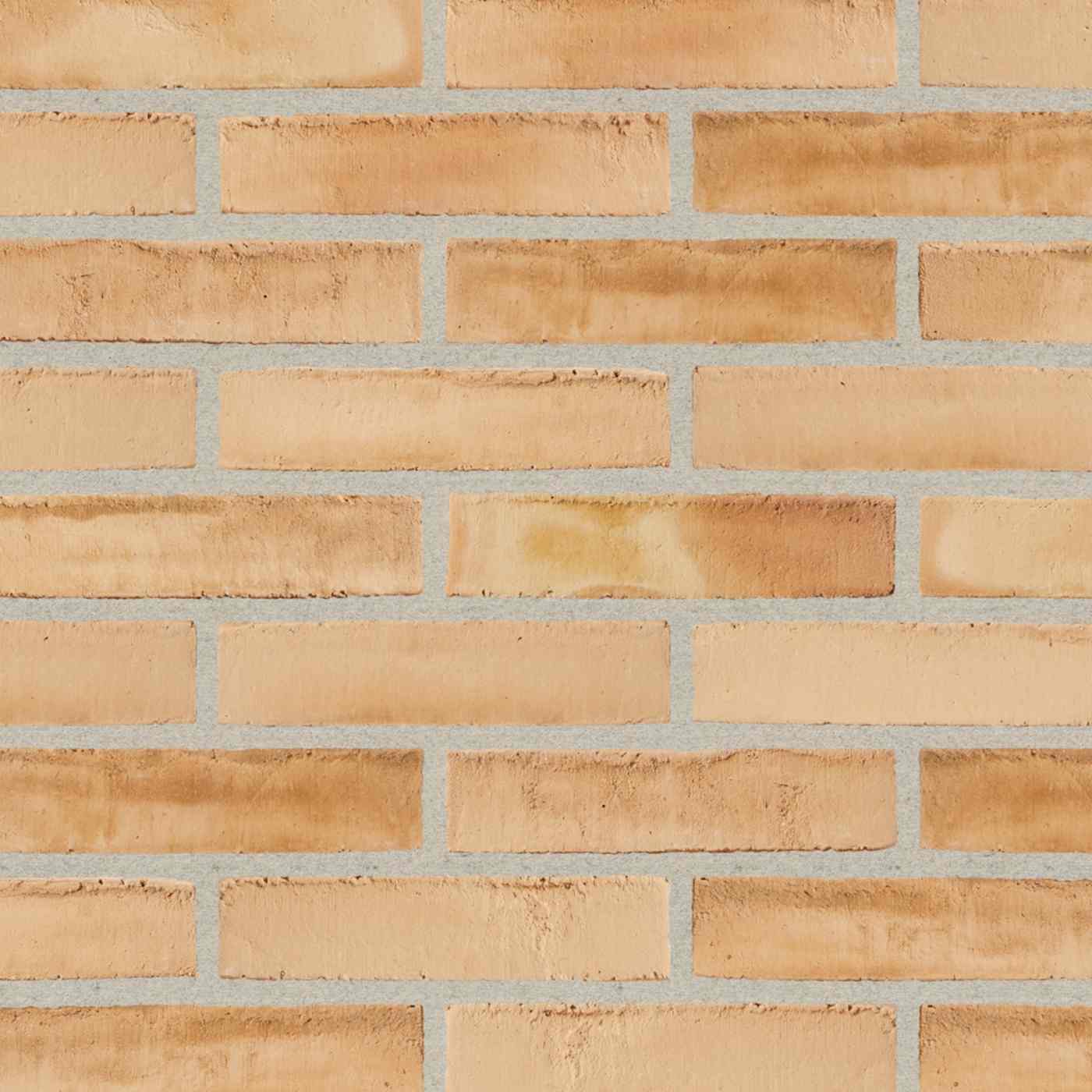Productshot of the Dansk Guldokker WS DNF LESS
