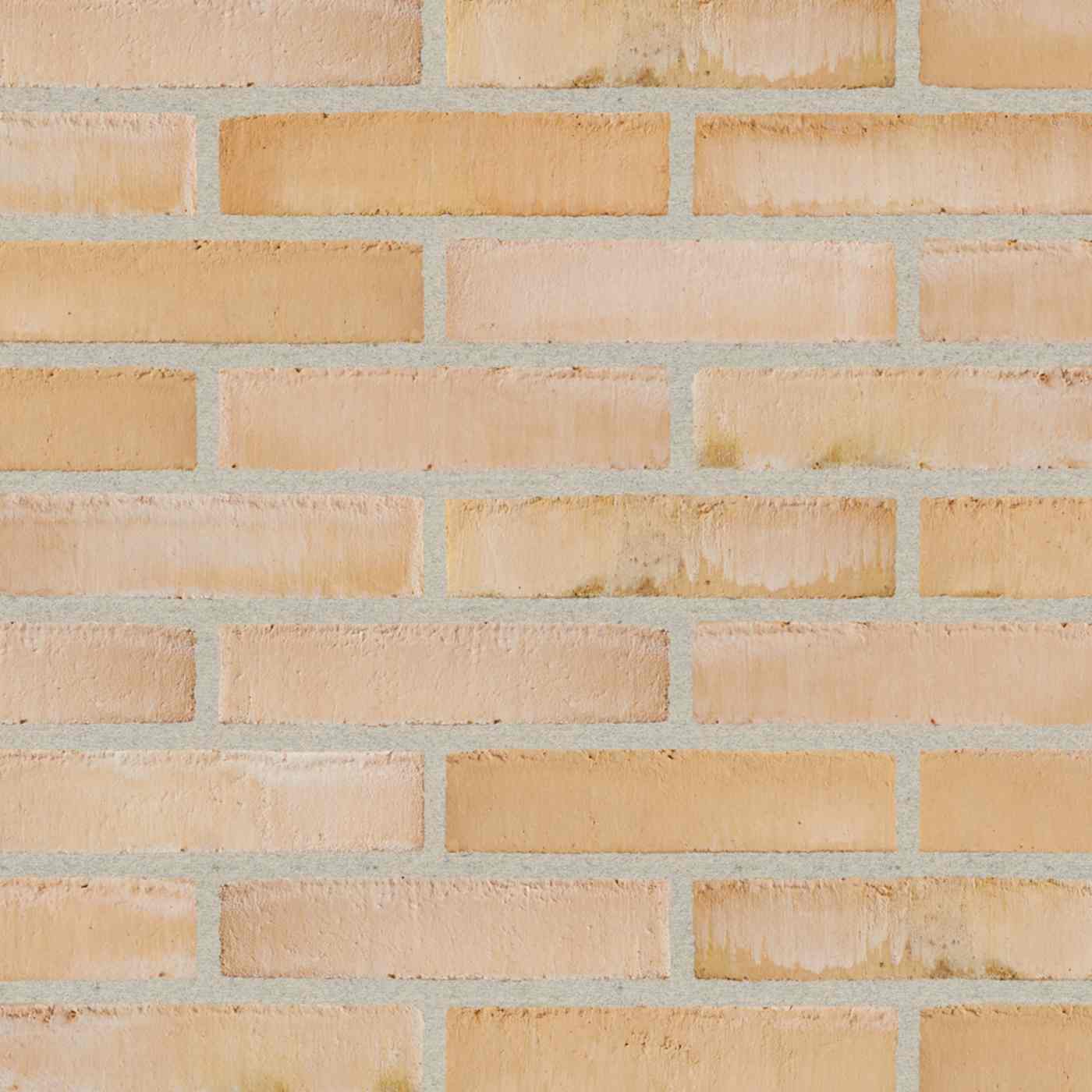 Productshot of the Dansk Pale Coal WS DNF LESS