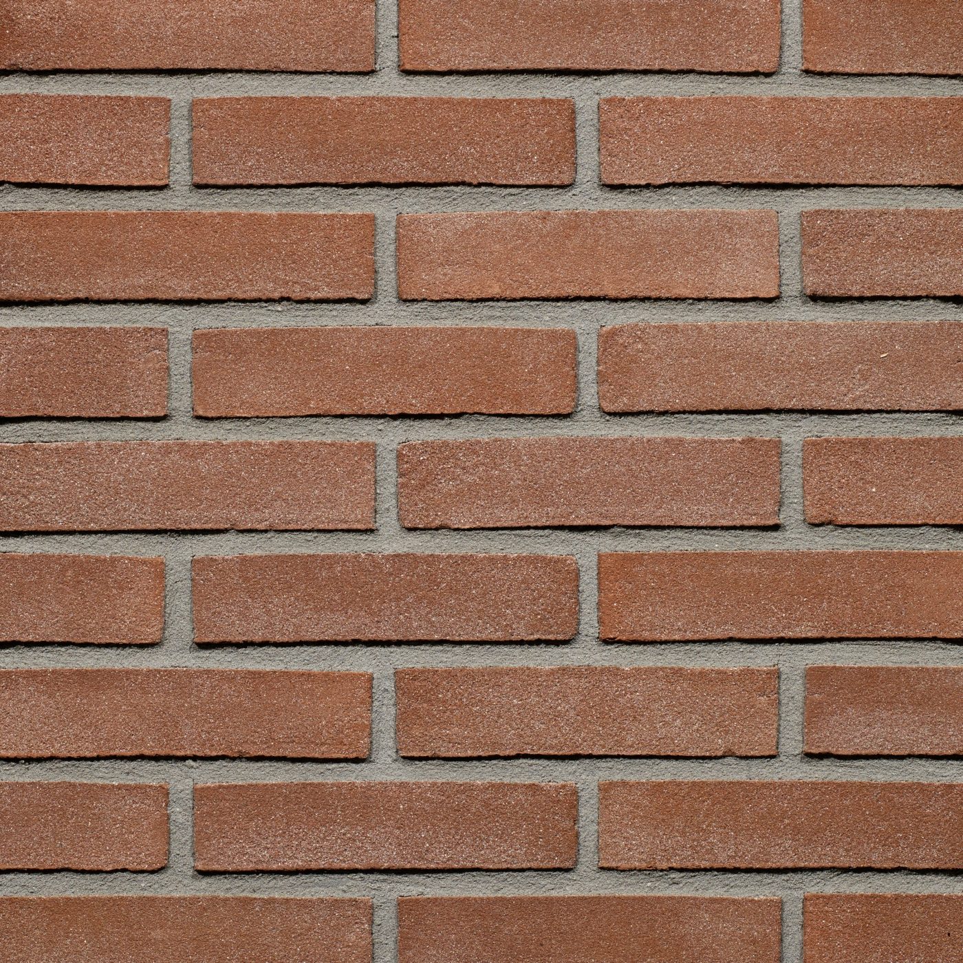 Productshot van de Oud Rose VB WF gevelbaksteen