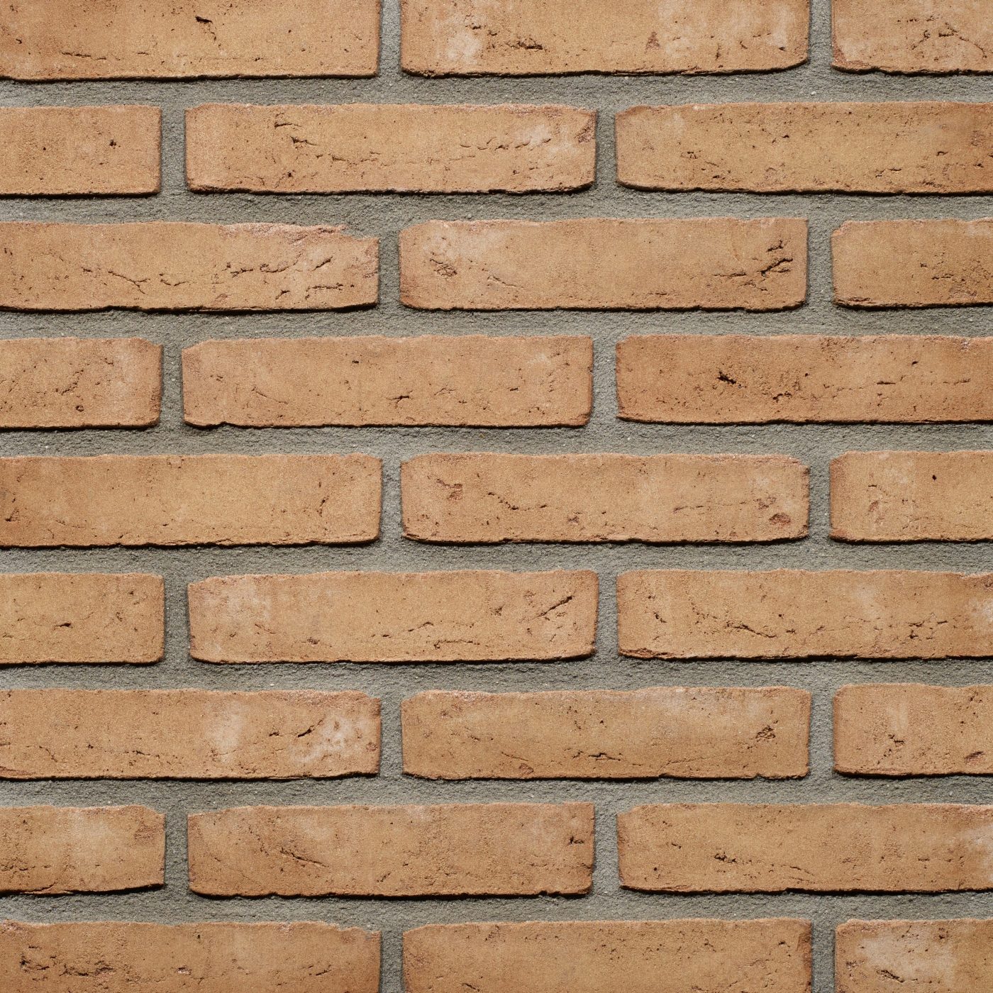 Productshot van de Cardo WS WF gevelbaksteen