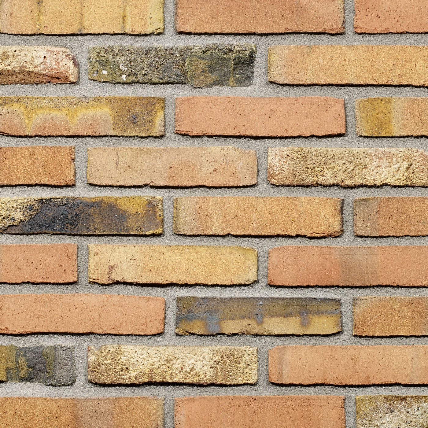 Productshot van de Dignita WS WF gevelbaksteen