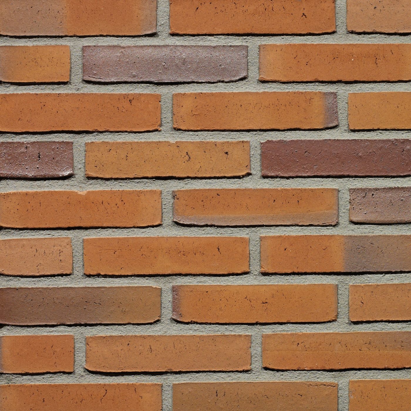 Productshot van de Goudsbloem WS WF gevelbaksteen