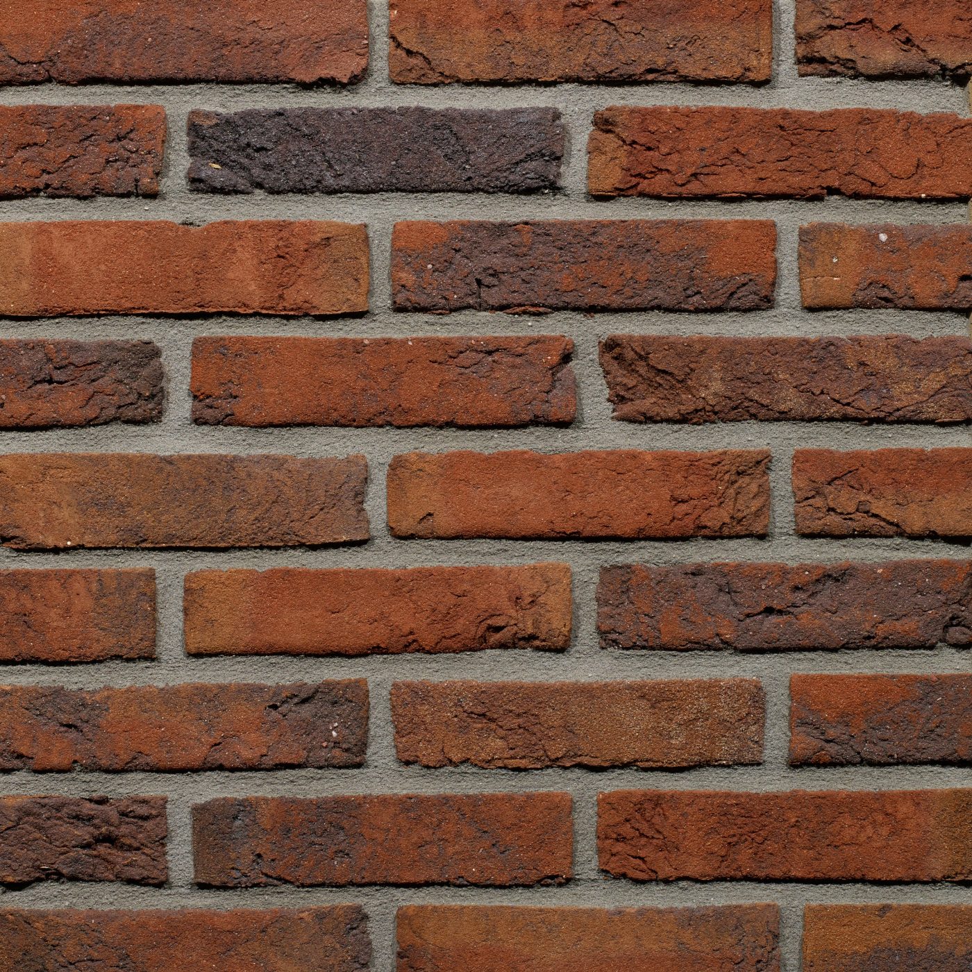 Productshot van de Menton HV WF gevelbaksteen