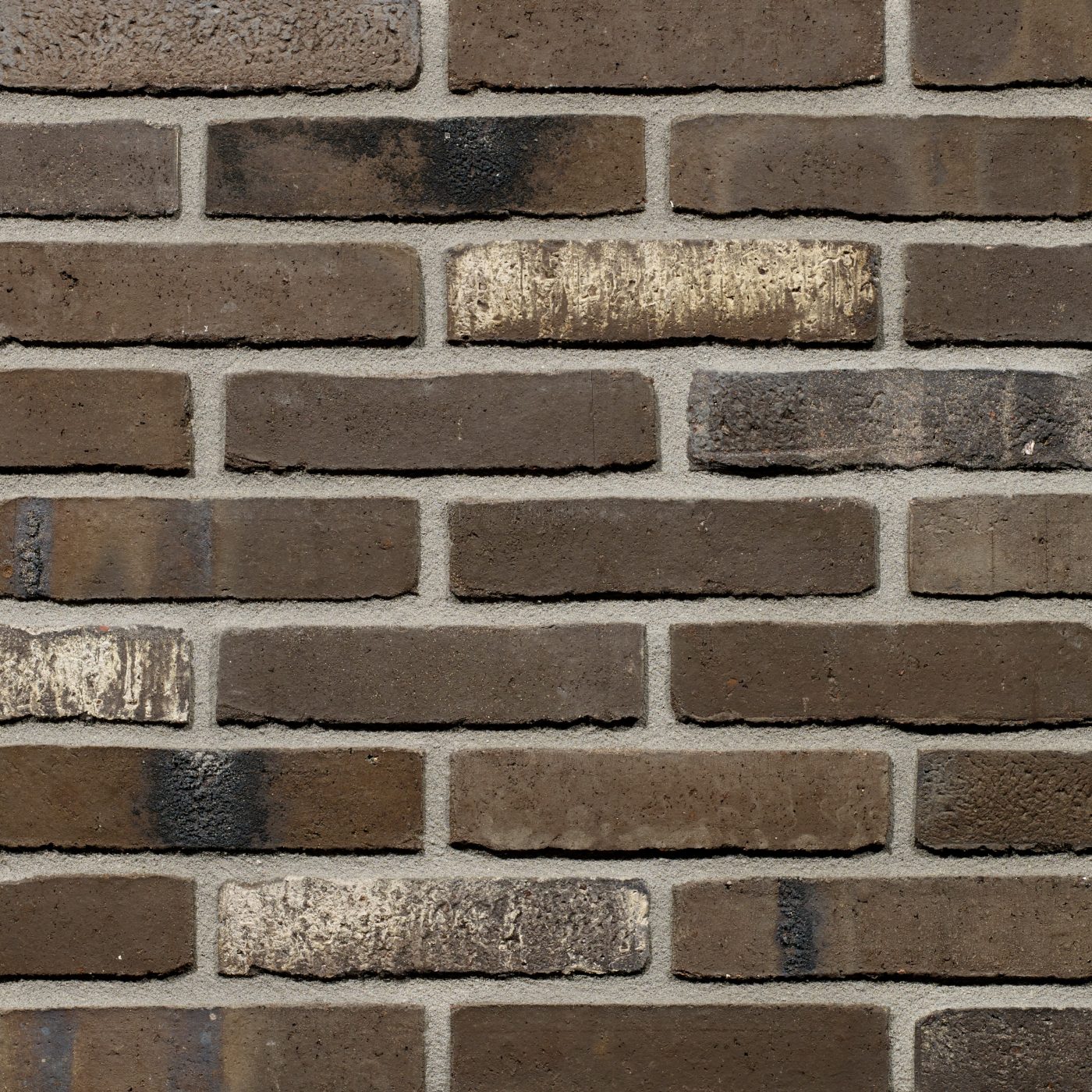 Productshot van de Optima WS WF gevelbaksteen