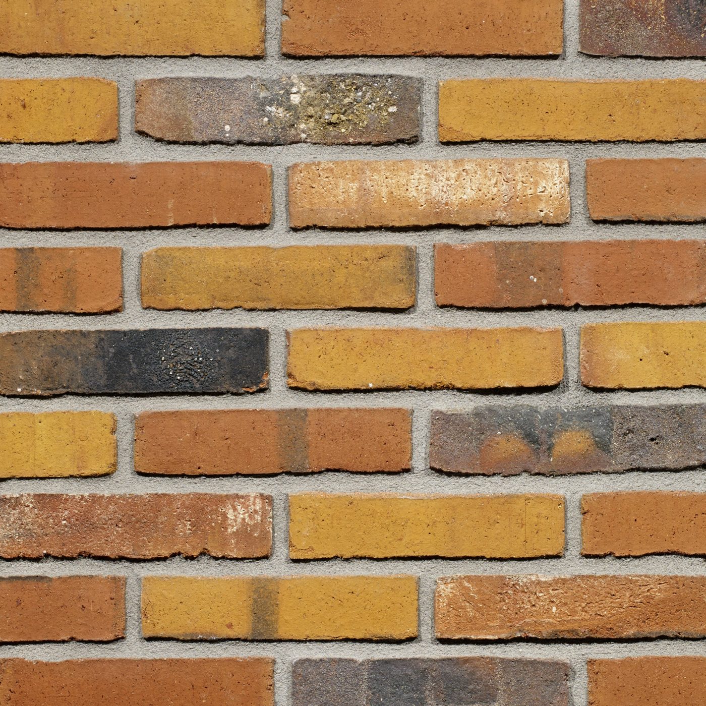 Productshot van de Prisma WS WF gevelbaksteen