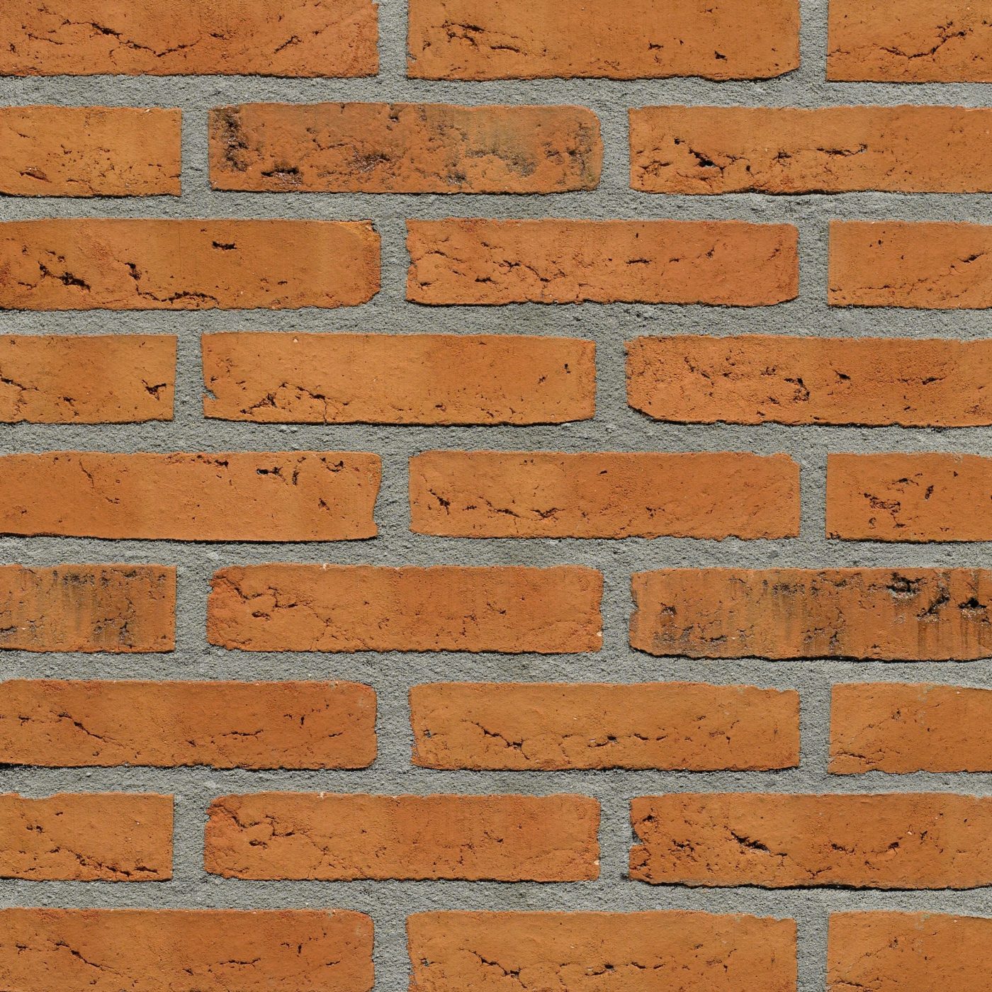 Productshot van de Sedum Exclusief WS WF gevelbaksteen