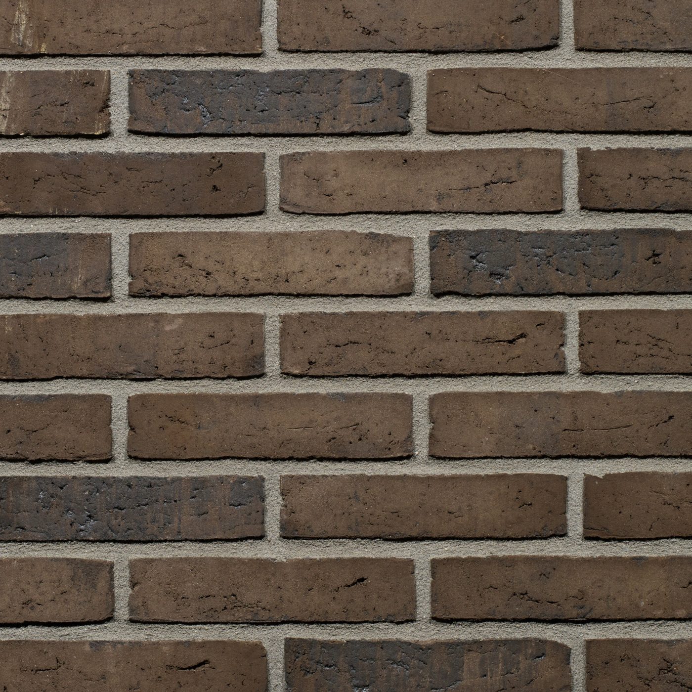 Productshot van de Cosmos Exclusief WS WF gevelbaksteen