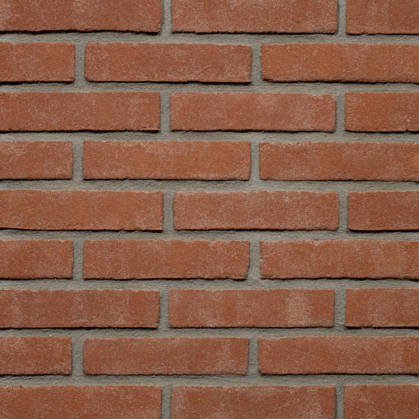 Productshot van de Erlecom VB WF gevelbaksteen