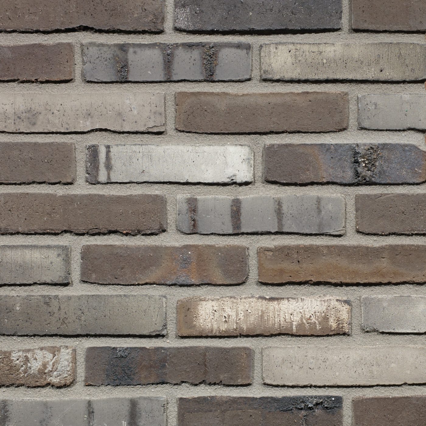 Productshot van de Famosa WS WF gevelbaksteen