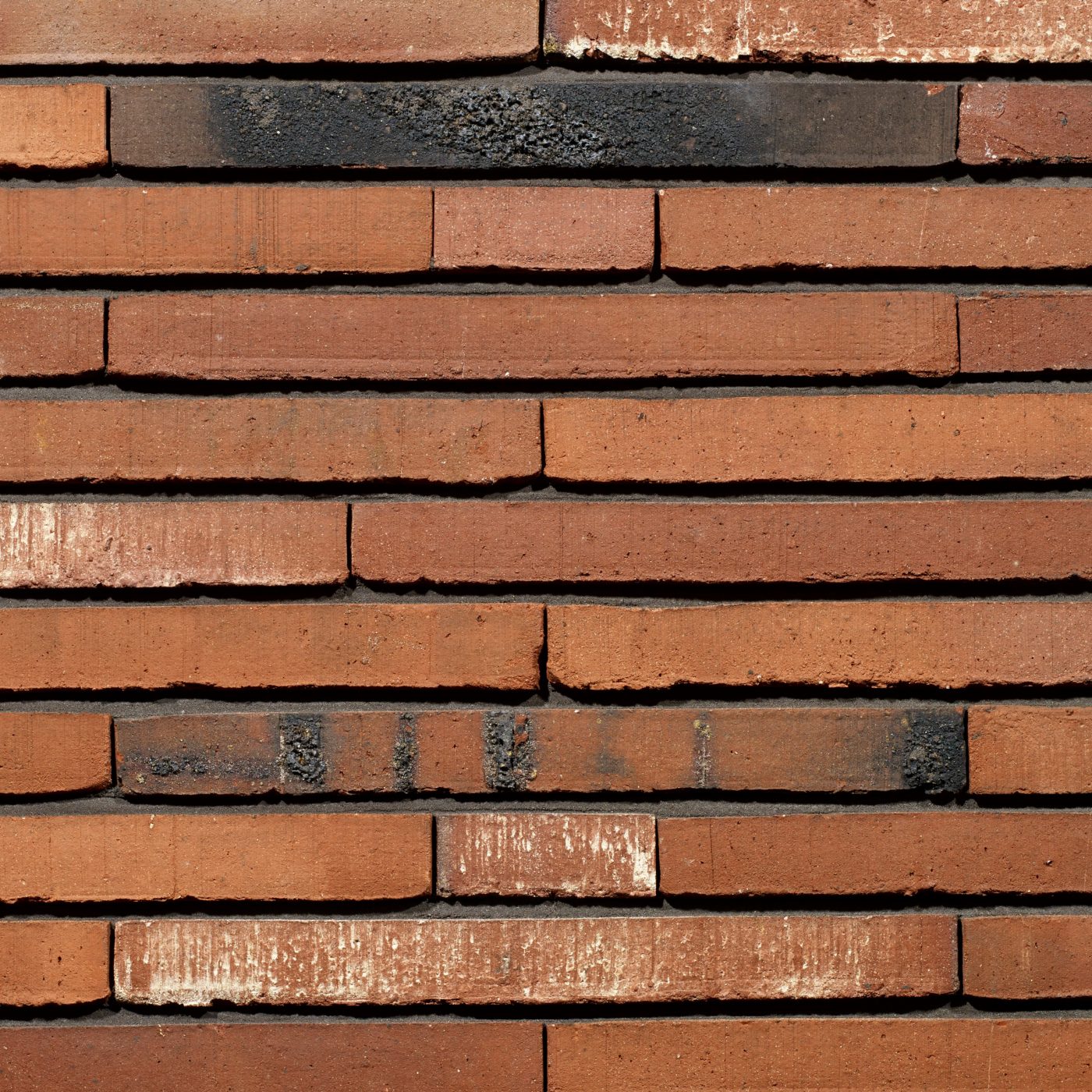 Productshot van de Fortuna WS LF400 gevelbaksteen