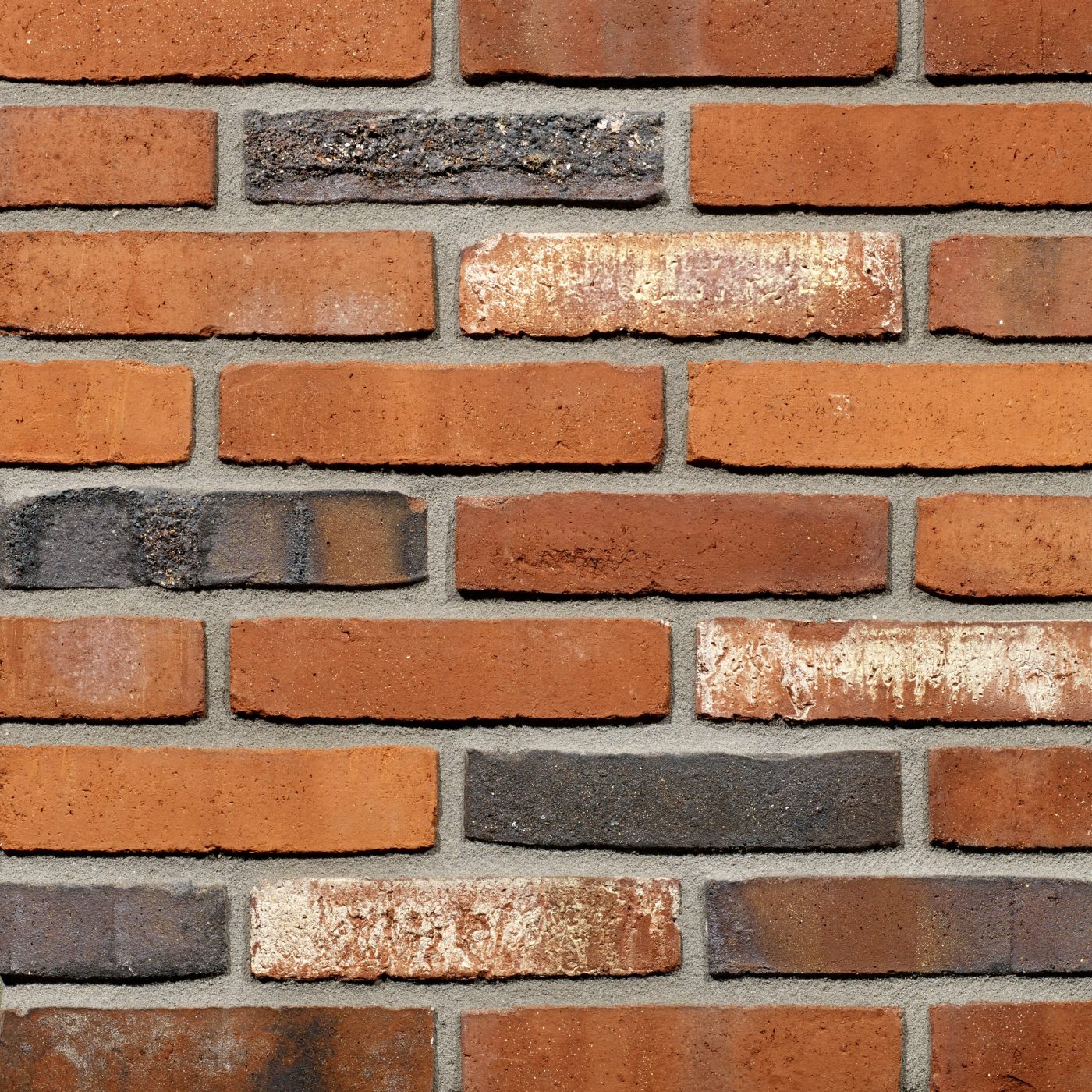 Productshot van de Fortuna WS WF gevelbaksteen