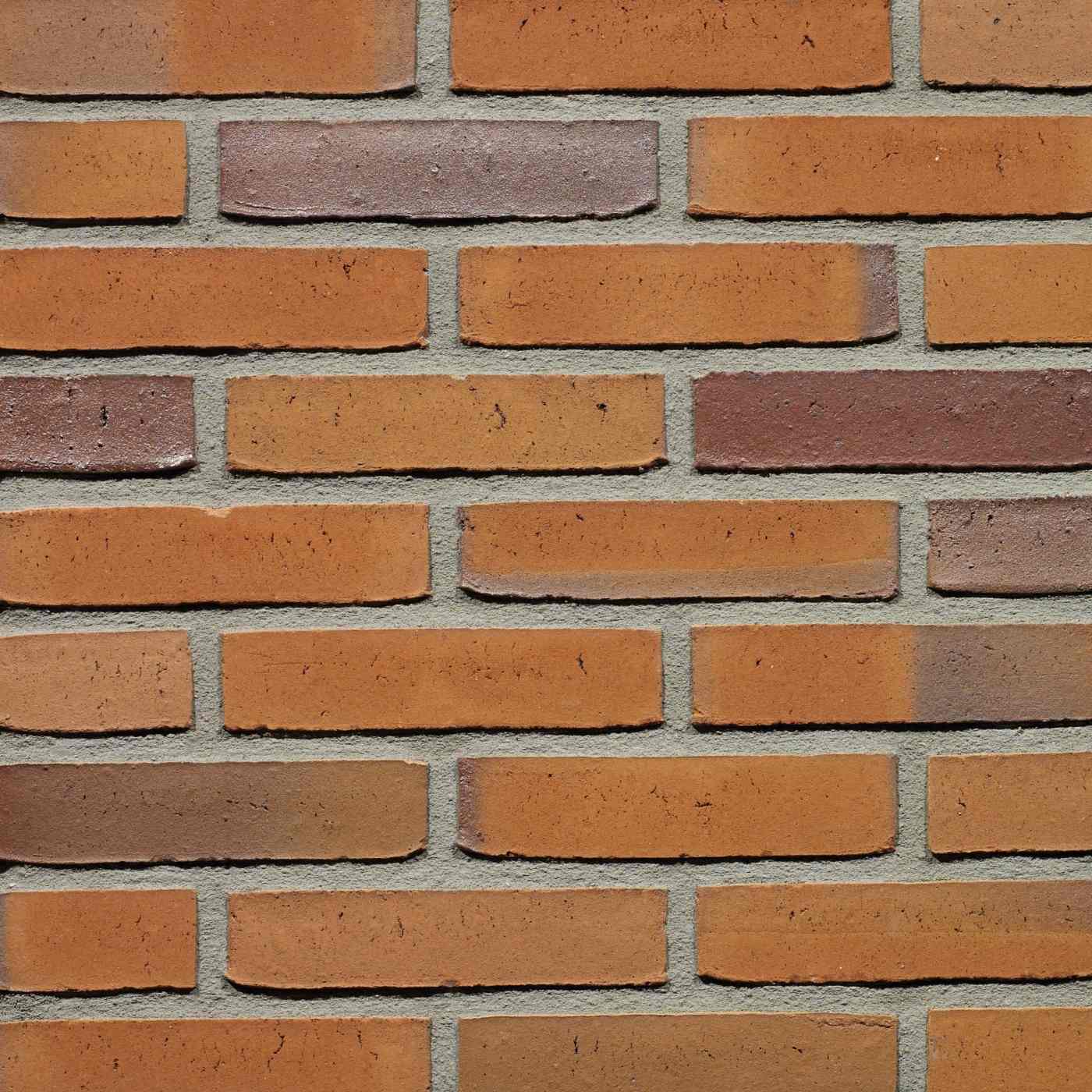 Productshot van de Goudsbloem WS WF gevelbaksteen