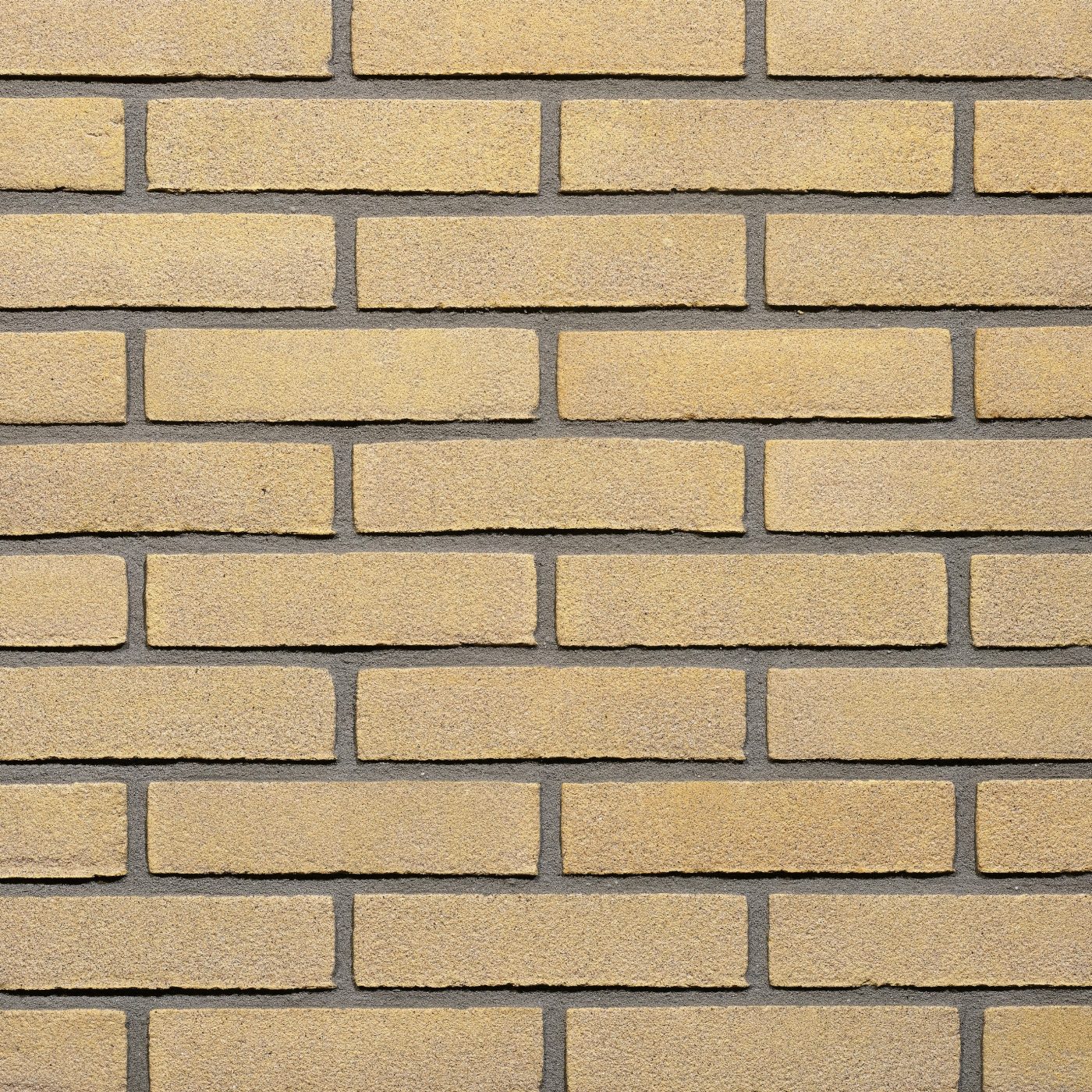 Productshot van de Ivoor VB WF gevelbaksteen