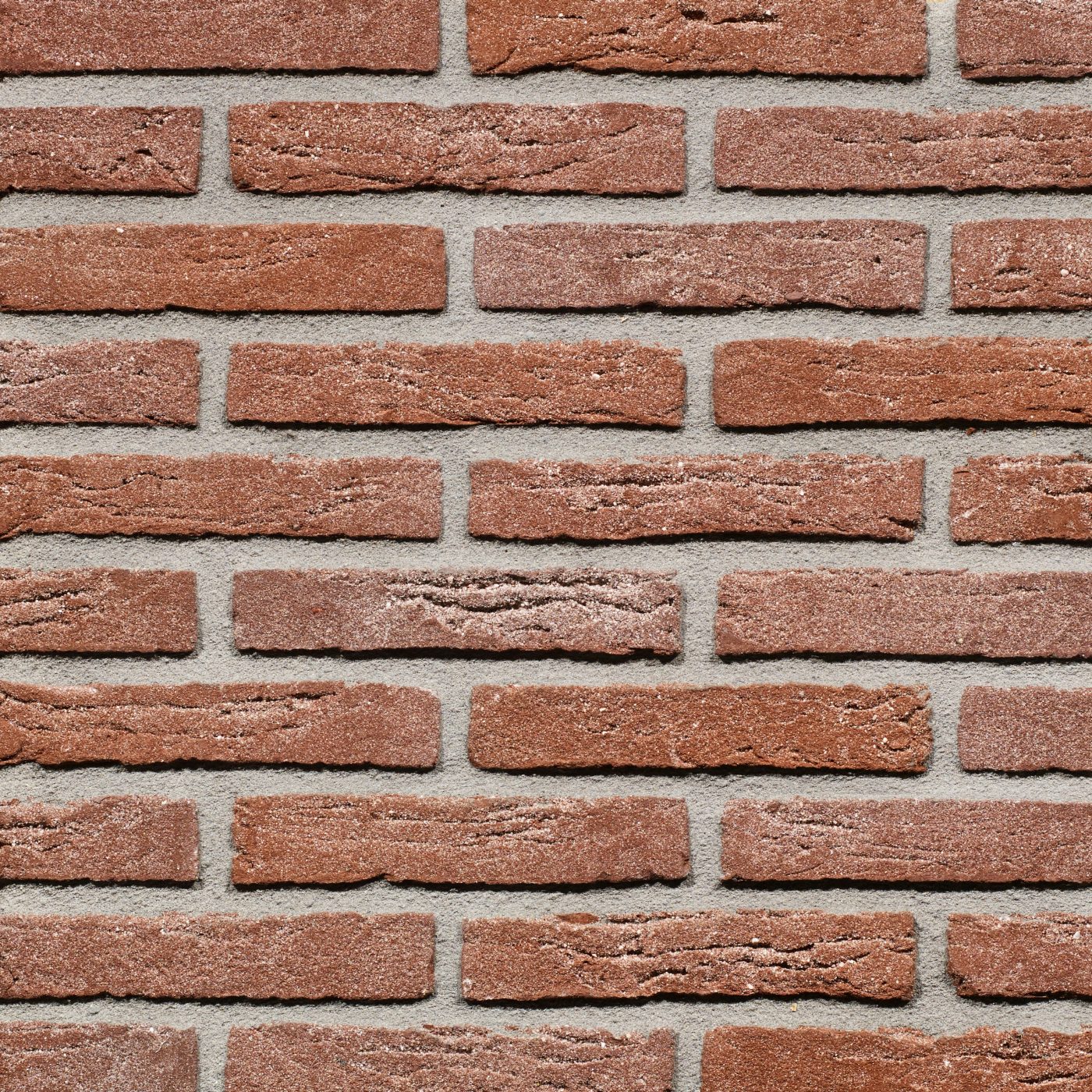 Productshot van de Roodgrijs Plint HV VF gevelbaksteen