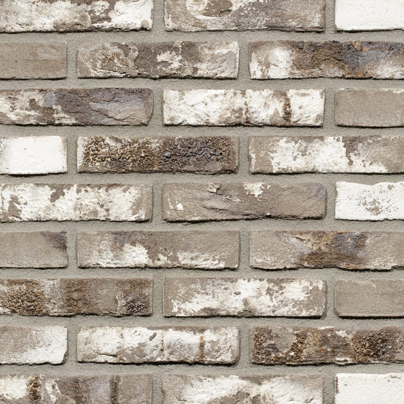 Productshot van de Vigoroso HV WF gevelbaksteen