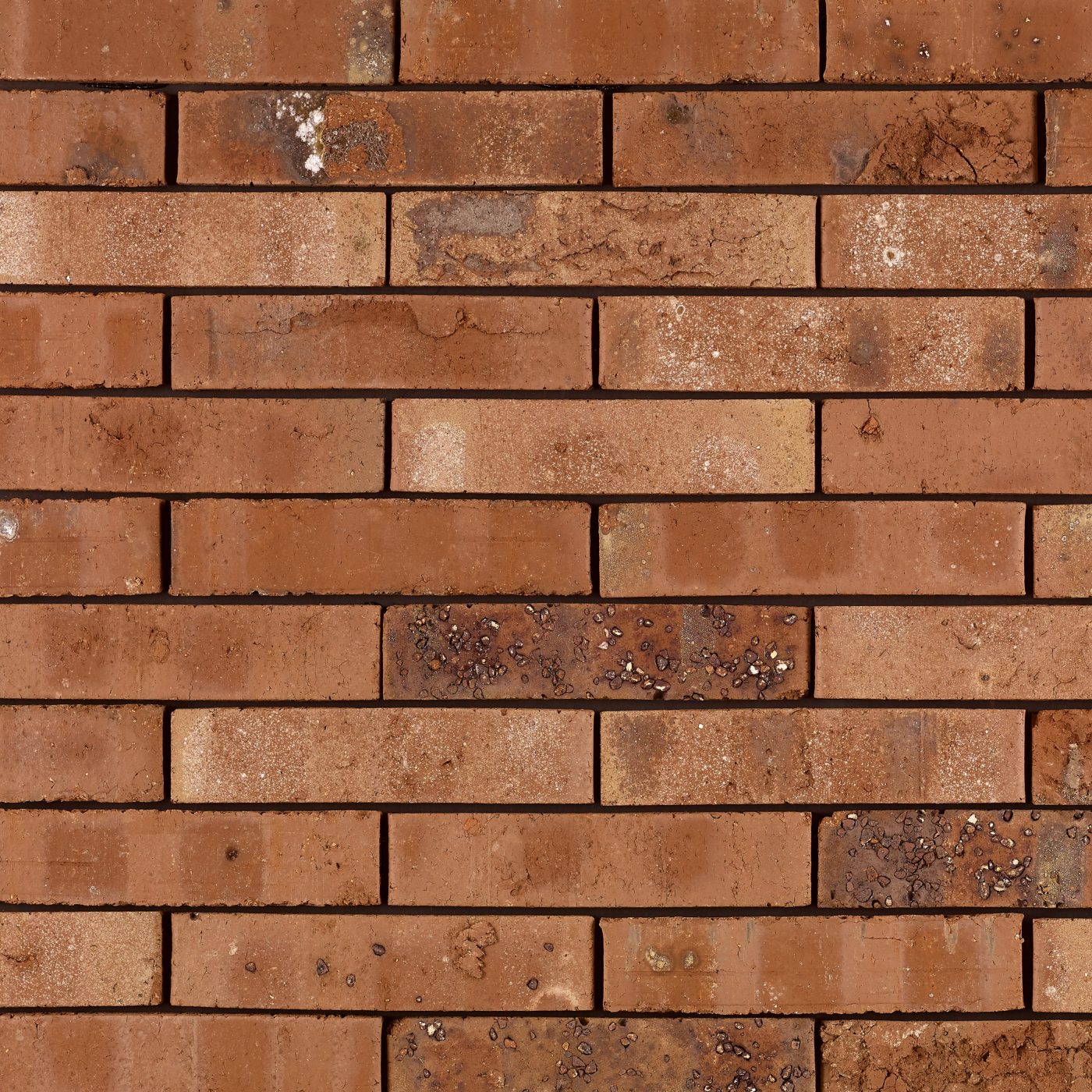 Productshot van de Agita SP WF gevelbaksteen