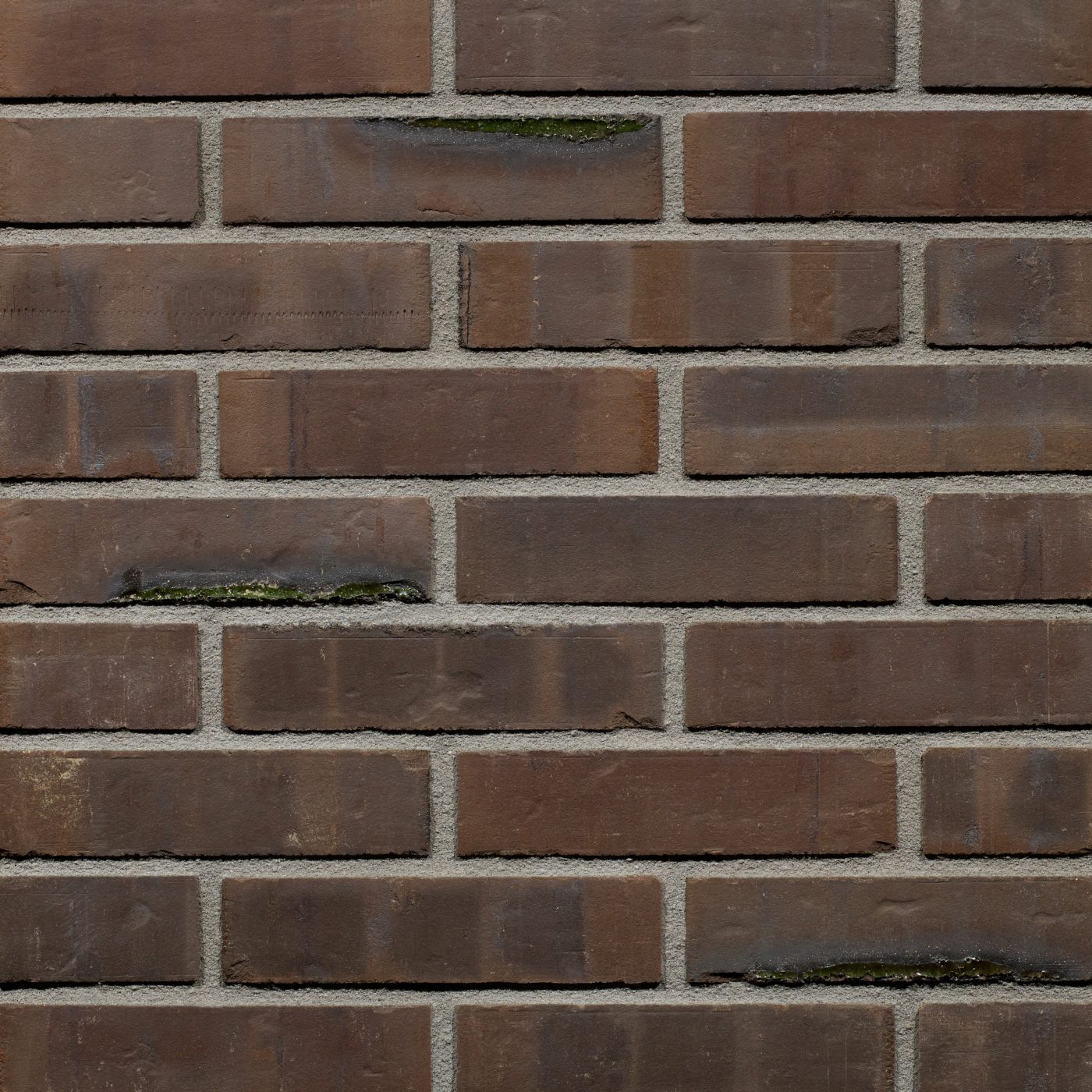 Productshot van de Blackburn Gesinterd Fuss SP WF gevelbaksteen