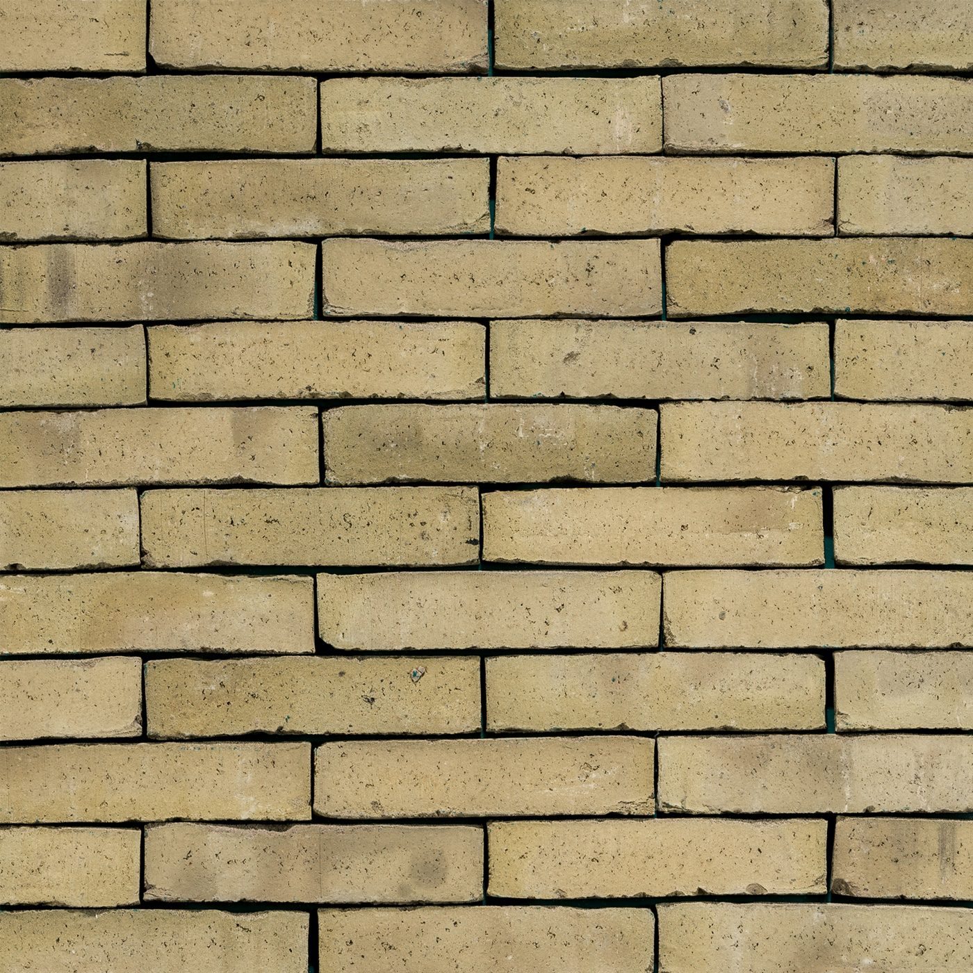 Productshot van de Latero Menta WS WF gevelbaksteen