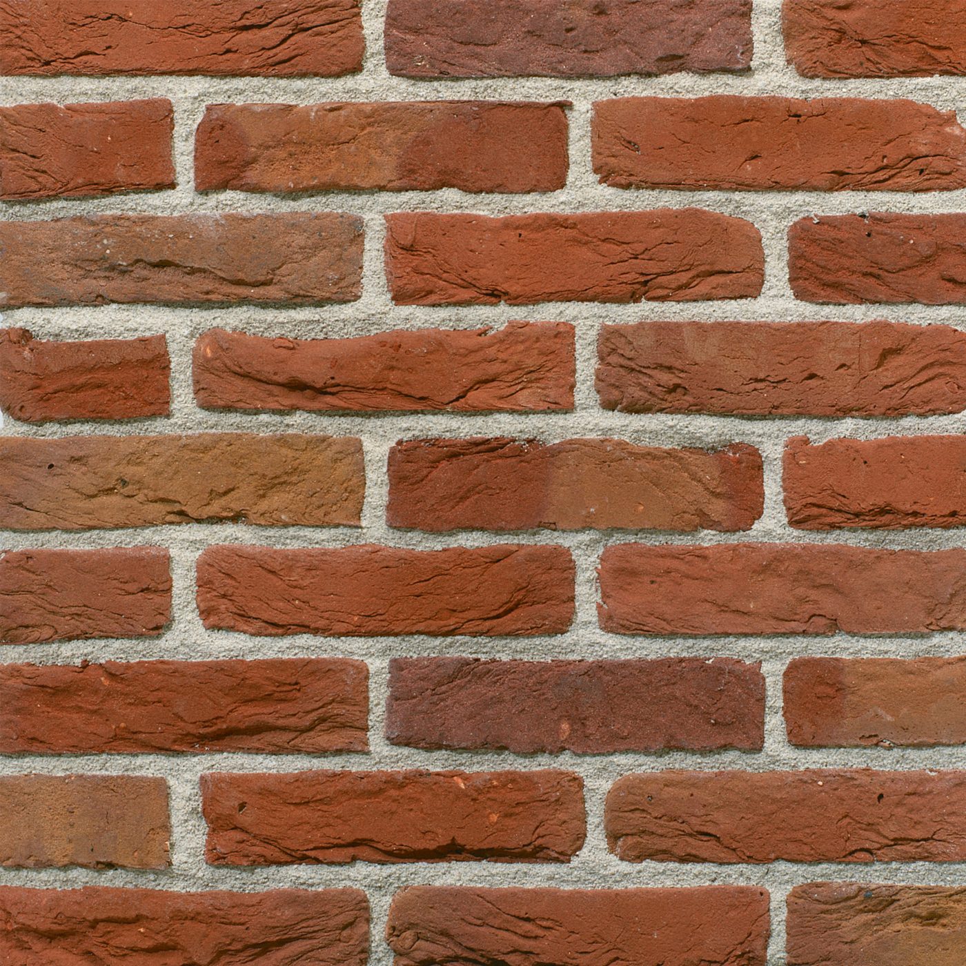 Productshot van de Maaseiker Bont HV WF gevelbaksteen