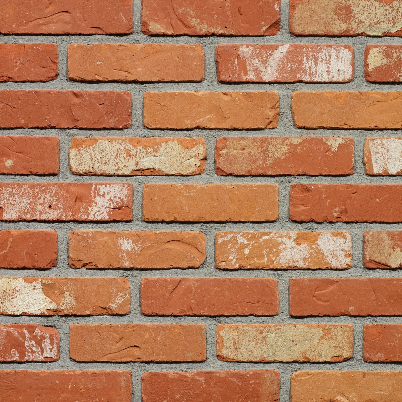 Productshot van de Molenlandse SP RV gevelbaksteen