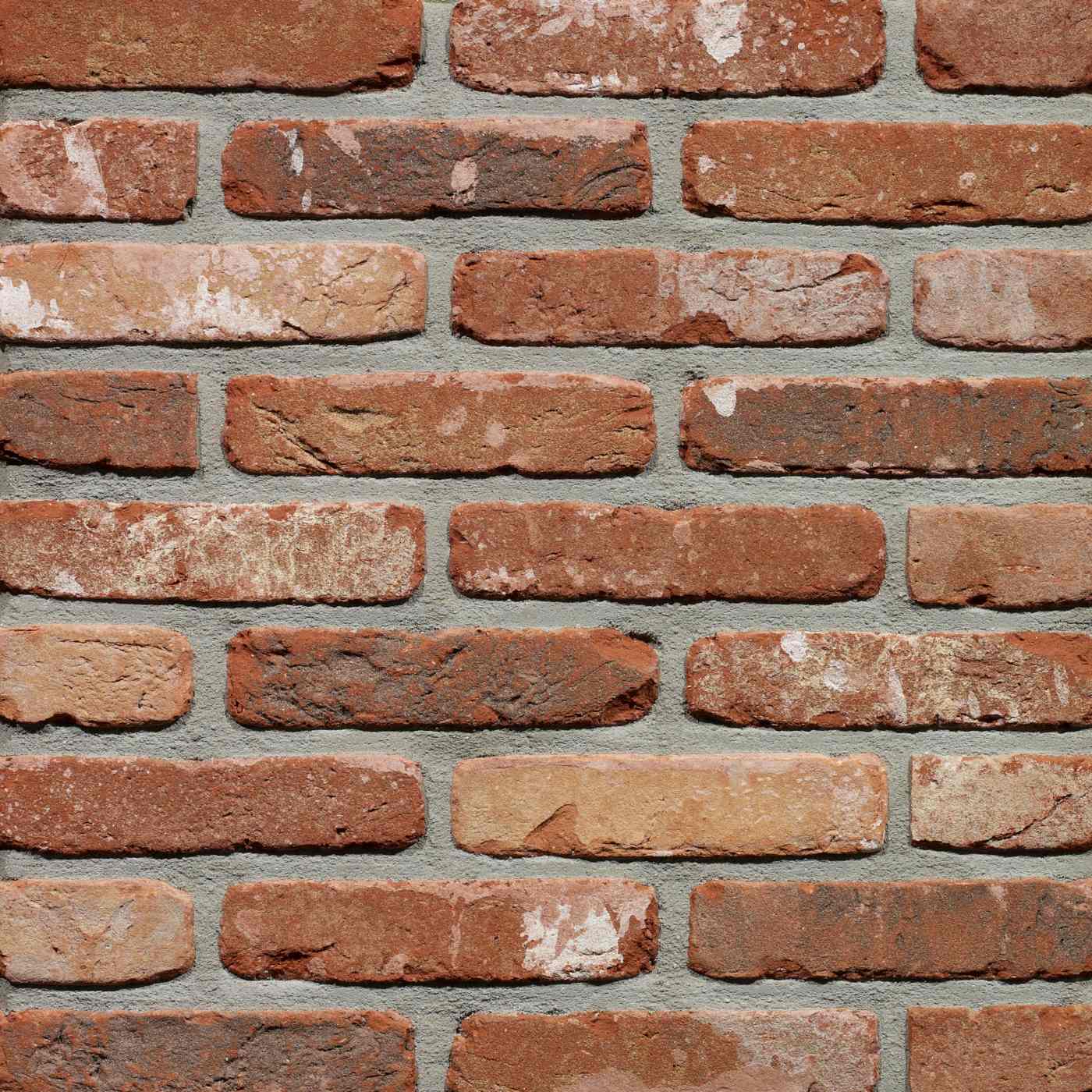 Productshot van de Oud Kempisch HV WF gevelbaksteen