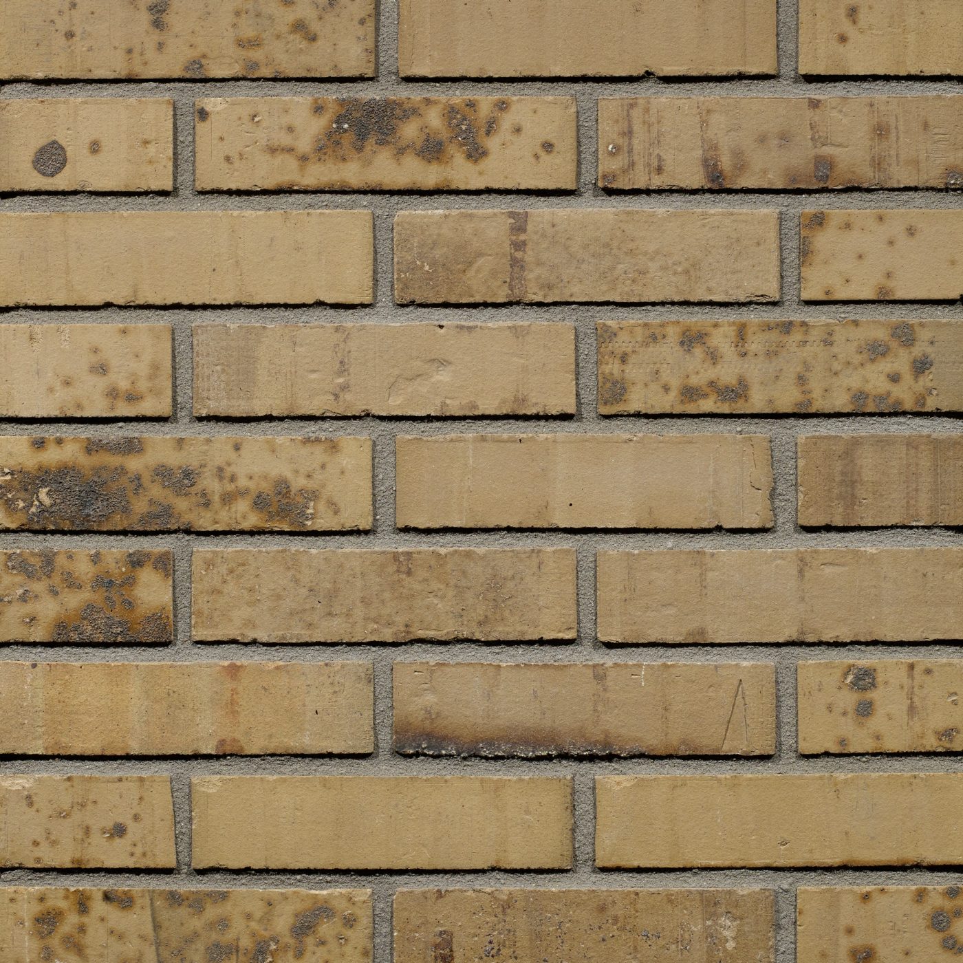 Productshot van de Putty Multi Gesinterd Fuss SP WF gevelbaksteen