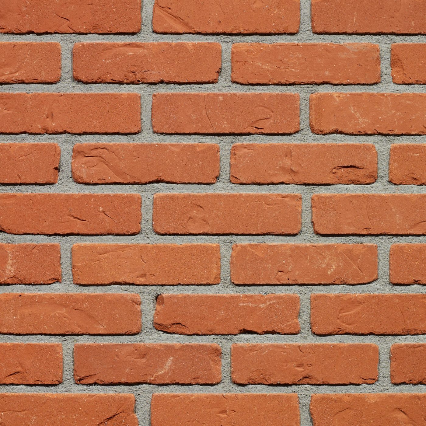 Productshot van de Rodelandse SP RV gevelbaksteen