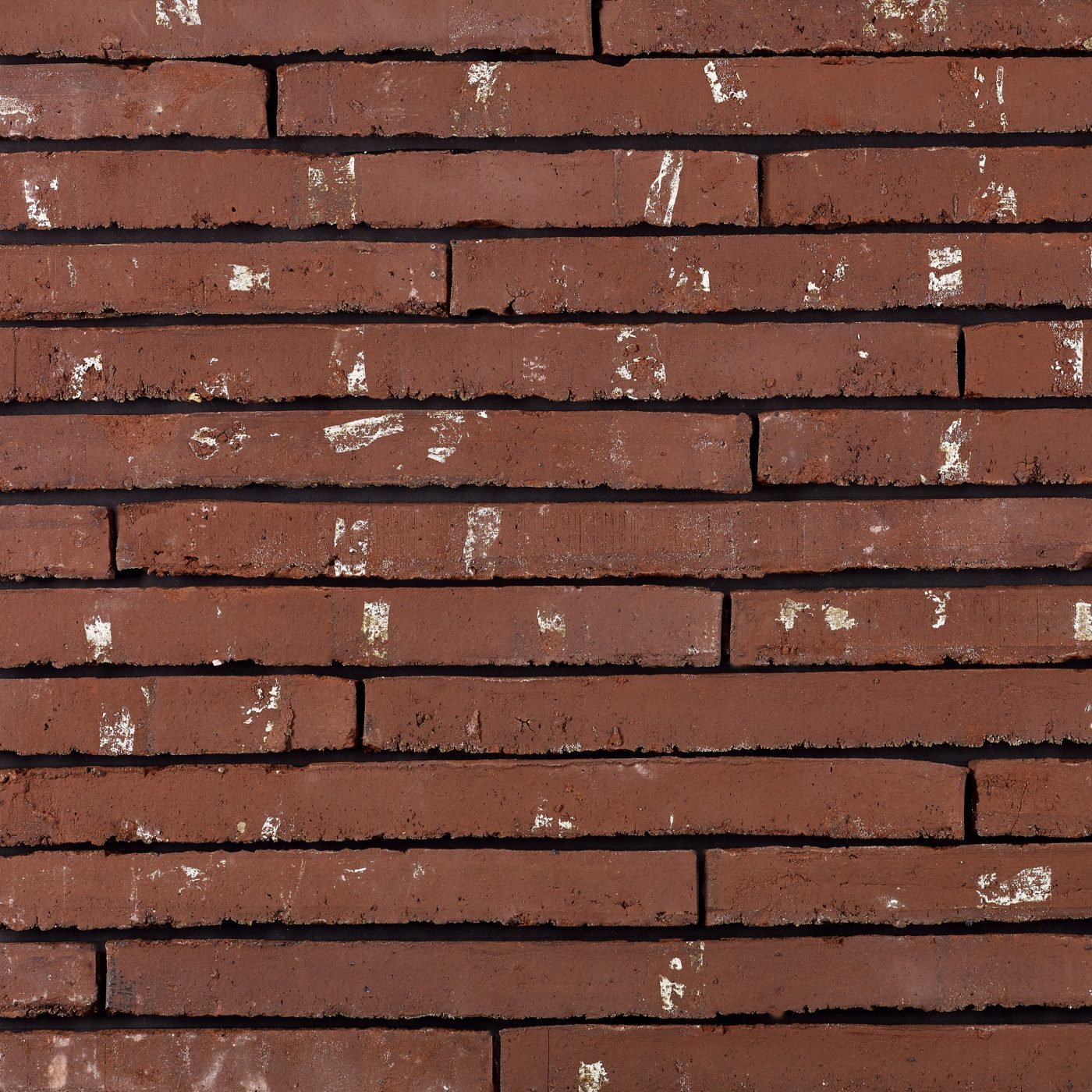 Productshot van de Speciaal Rood WS LF495 gevelbaksteen