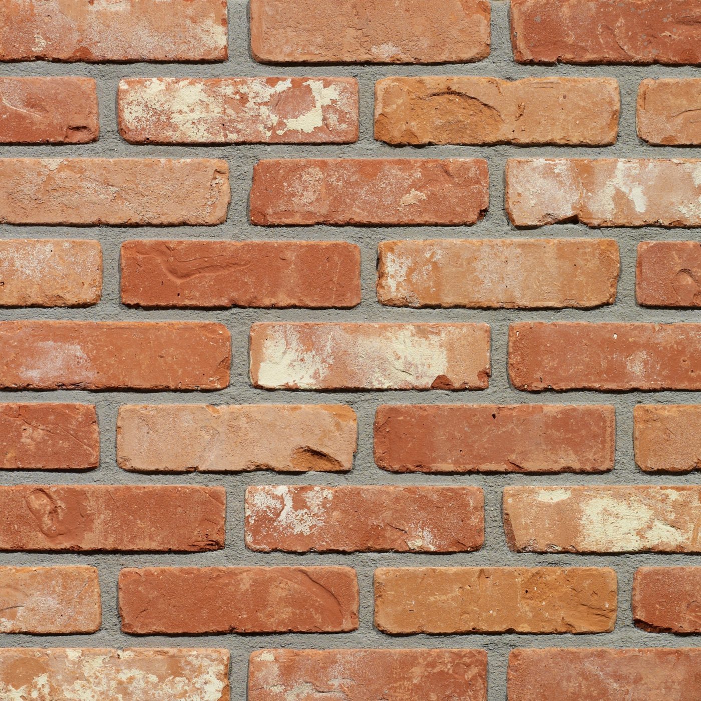 Productshot van de Tongerse SP RV gevelbaksteen