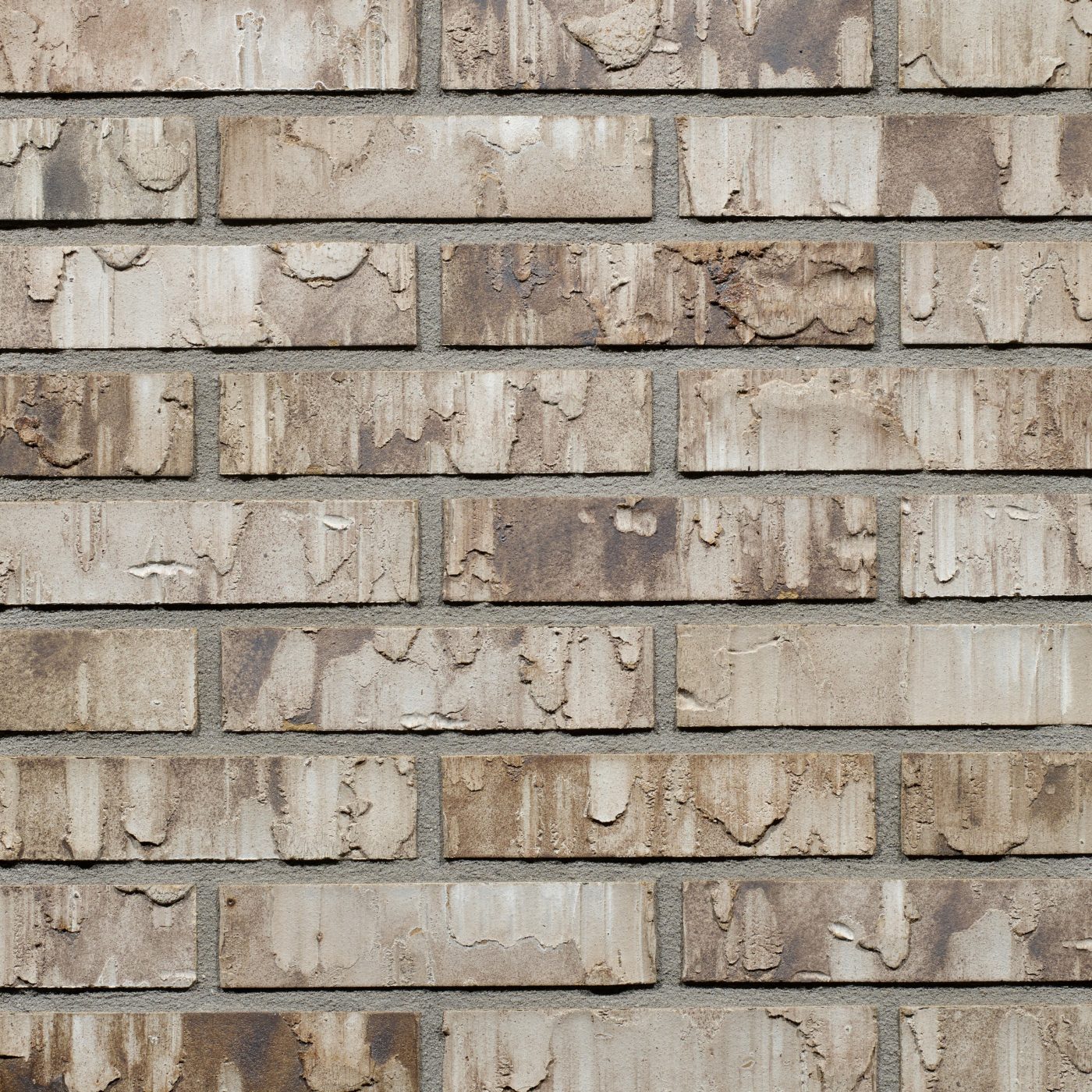 Productshot van de Birchwood SP WF gevelbaksteen