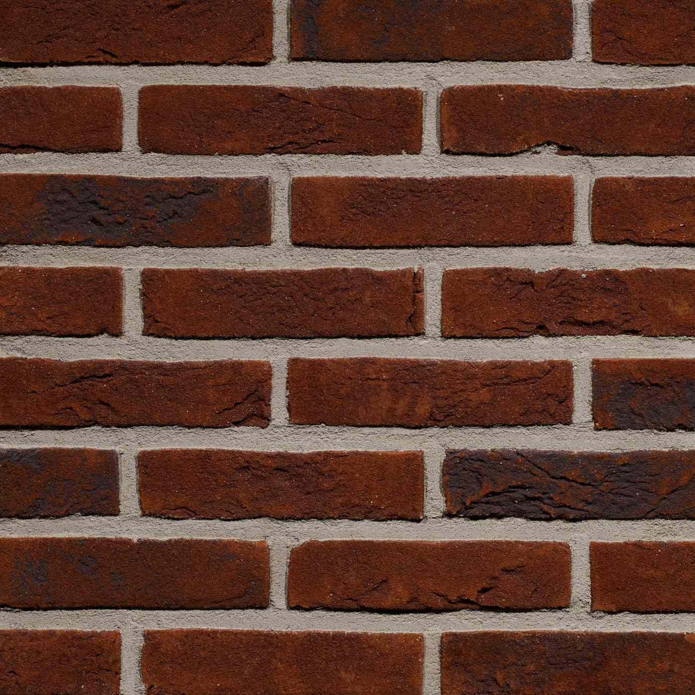 Productshot van de Forum Pampas HV WF gevelbaksteen