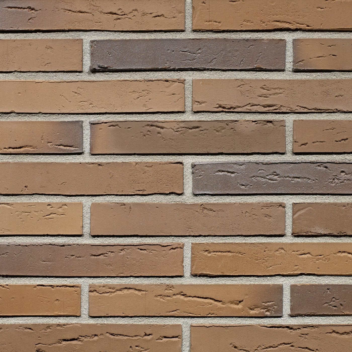 Productshot van de Linnaeus Quercus SP LF288 gevelbaksteen