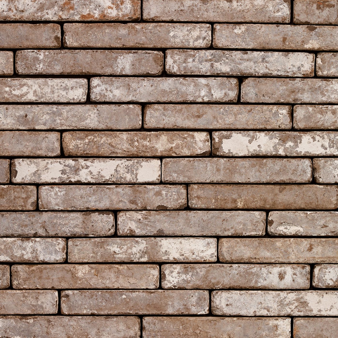 Productshot van de Metropolis Civitas Bruin SP HF EB65