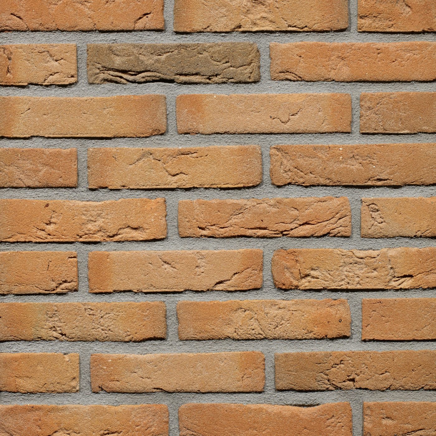 Productshot van de Nievand Multi HV WF gevelbaksteen