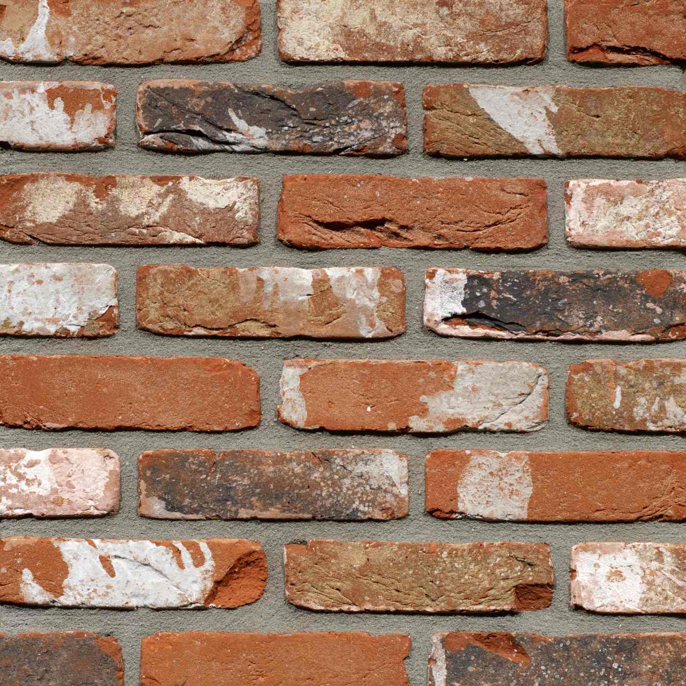 Productshot van de Oud Kempisch HV M50 gevelbaksteen