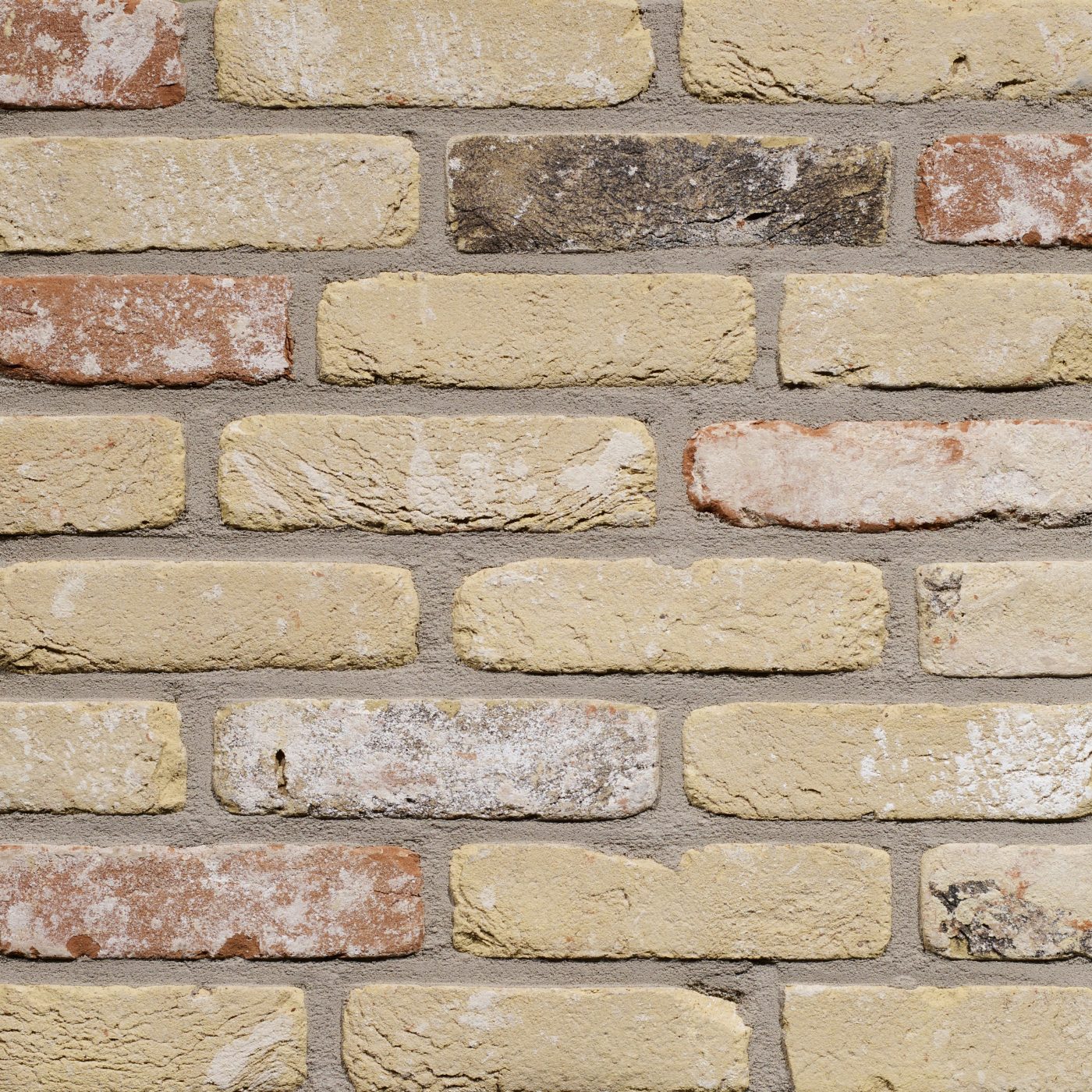 Productshot van de Oud Torhout HV M50 gevelbaksteen