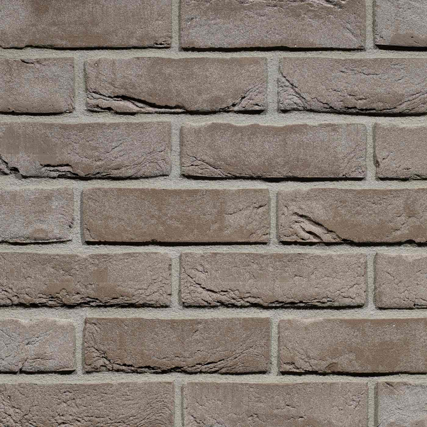 Productshot van de Iluzo Pagus Grijs HV EF gevelbaksteen